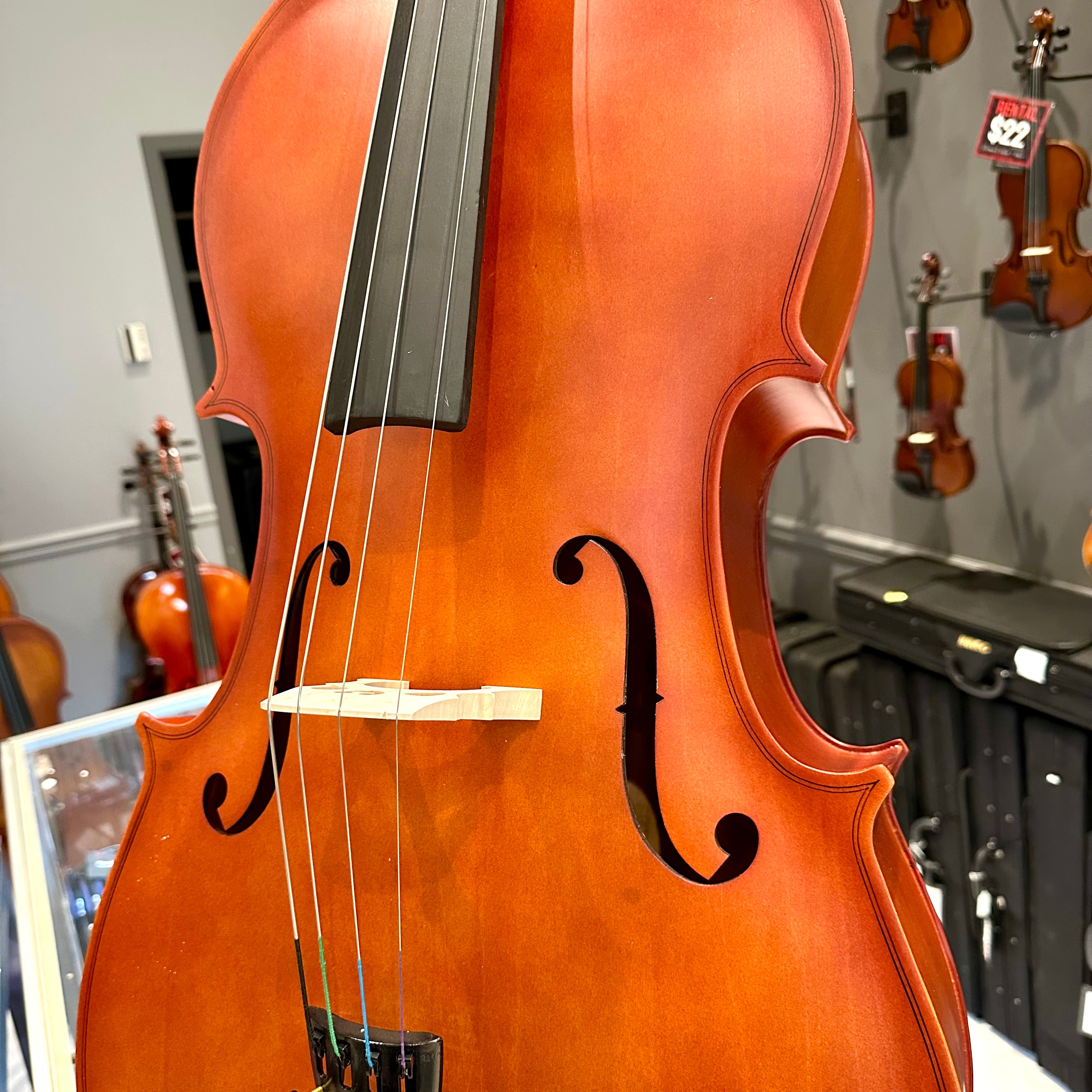 BACK TO SCHOOL SPECIAL: Strumenti a Corde 106: Student Cello, Laminate, Dark Matte - 4/4