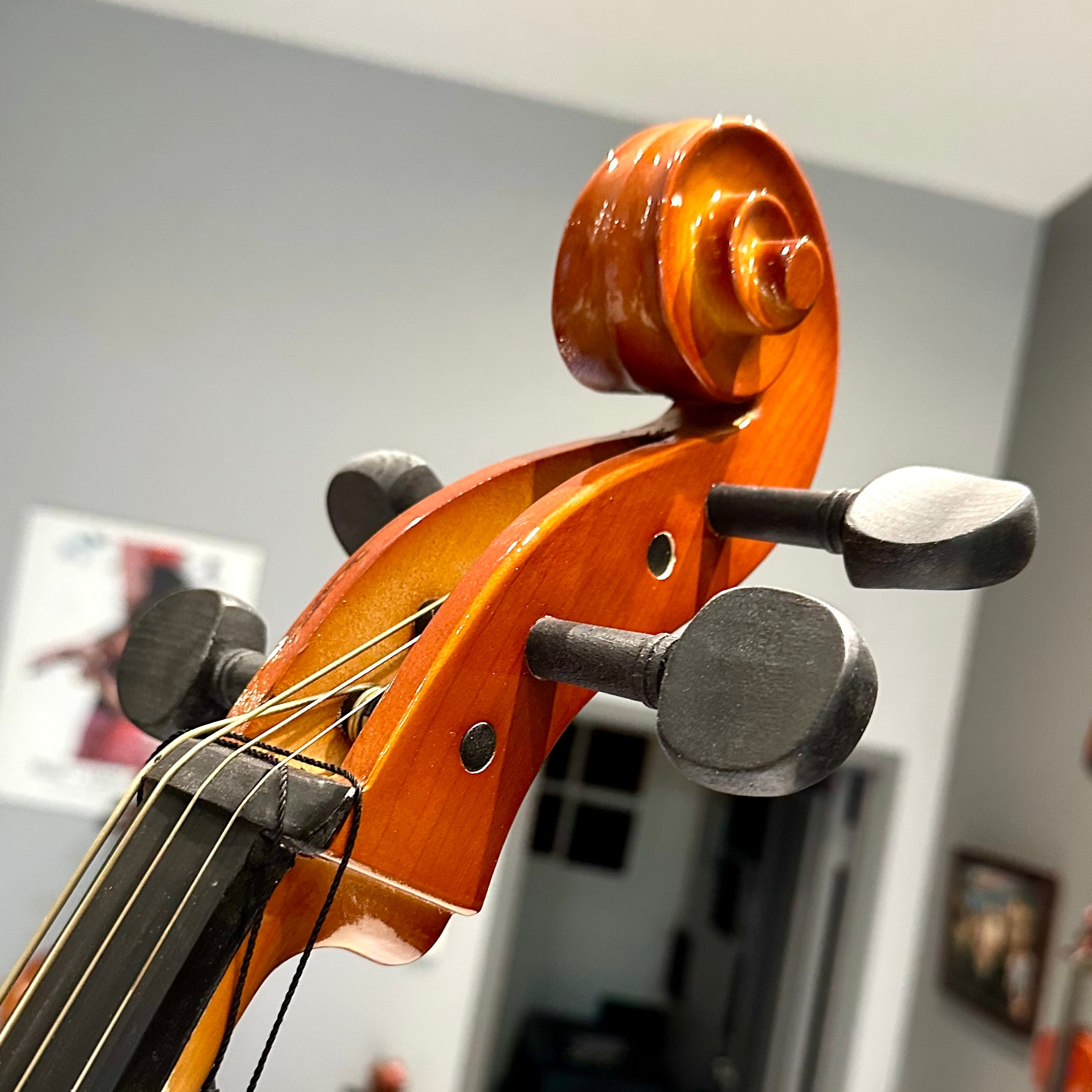 Strumenti a Corde 104: Student Cello, Laminated - 4/4