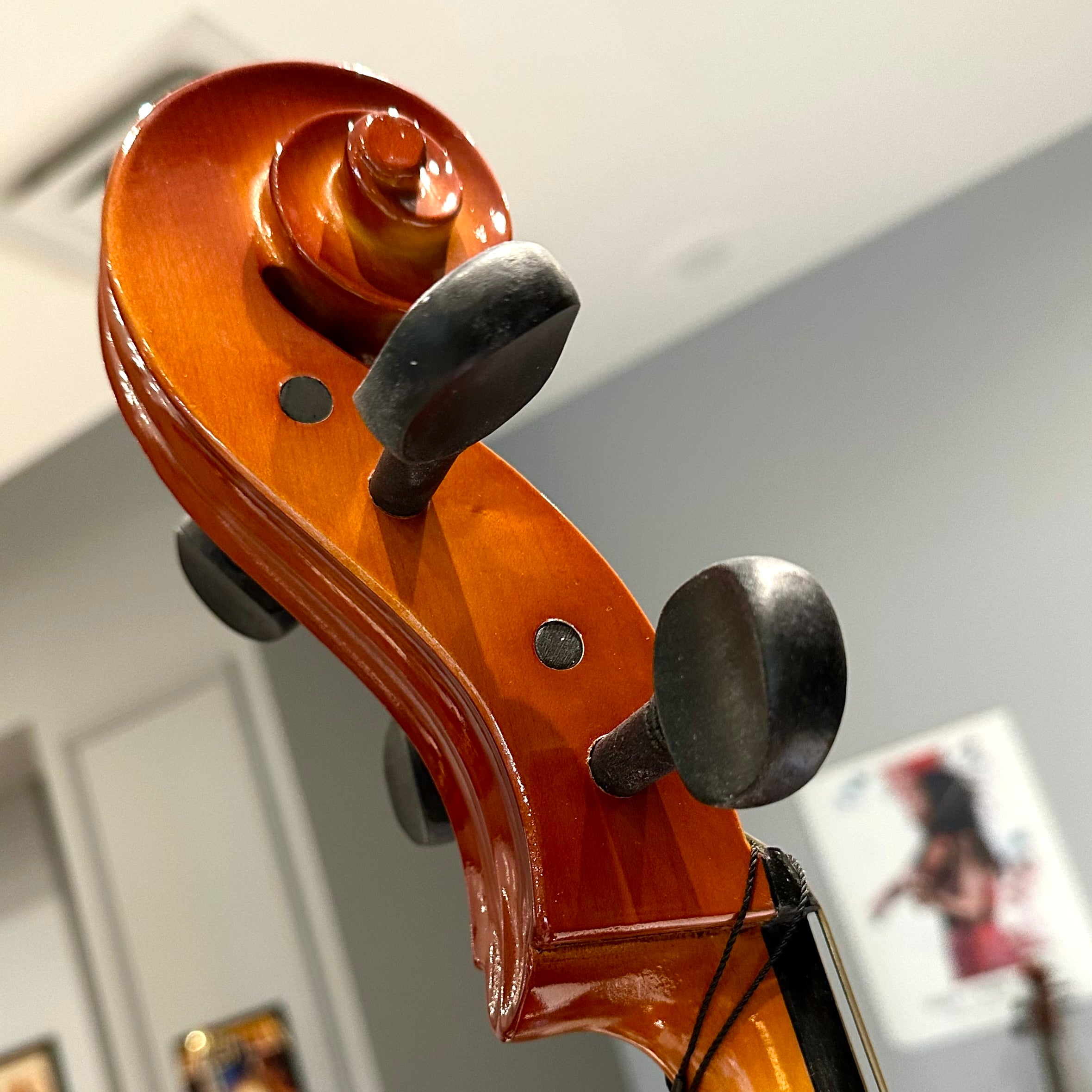 Strumenti a Corde 104: Student Cello, Laminated - 4/4