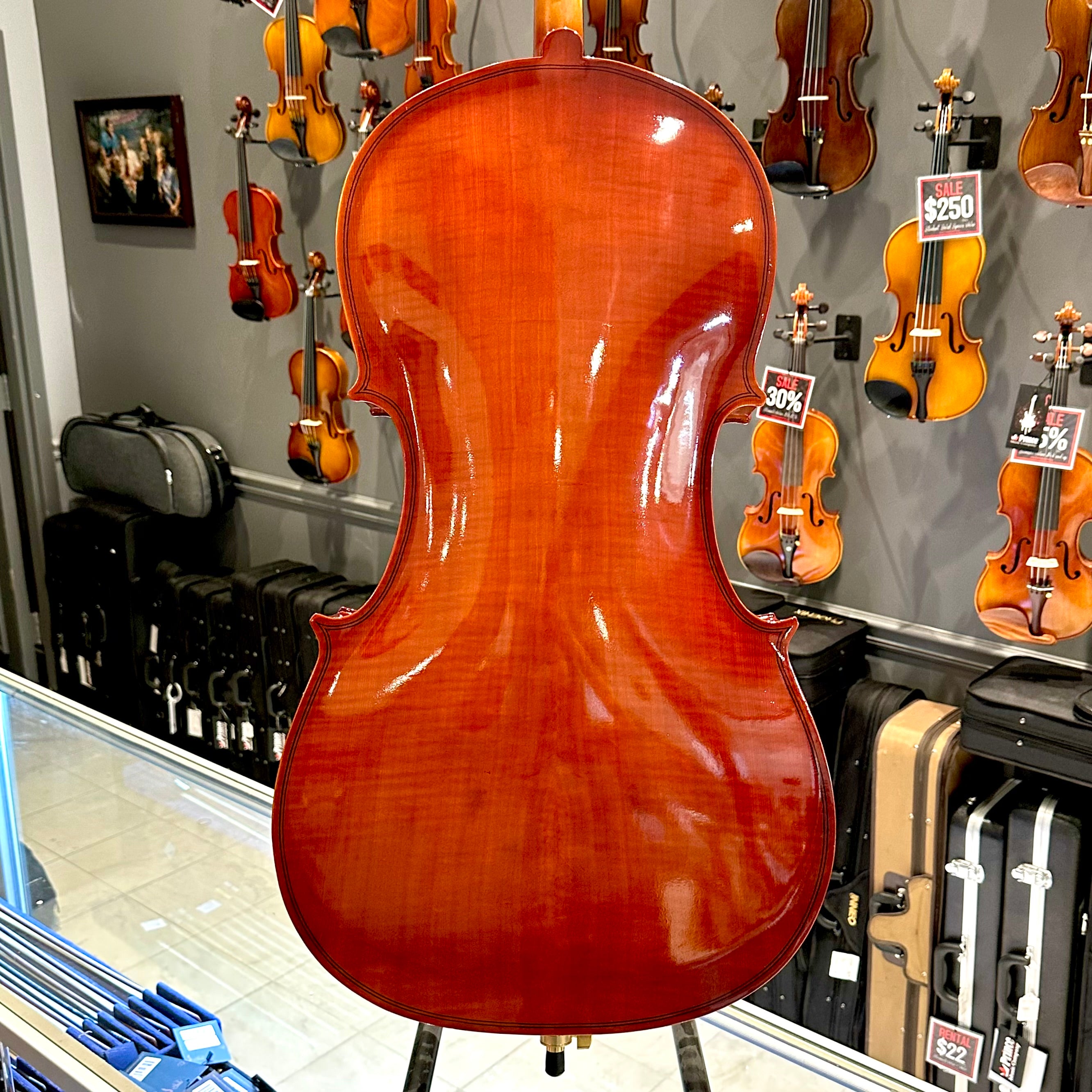 BACK TO SCHOOL SPECIAL: Strumenti a Corde 108: Student Cello, Solid Spruce Top, Glossy Finish - 4/4