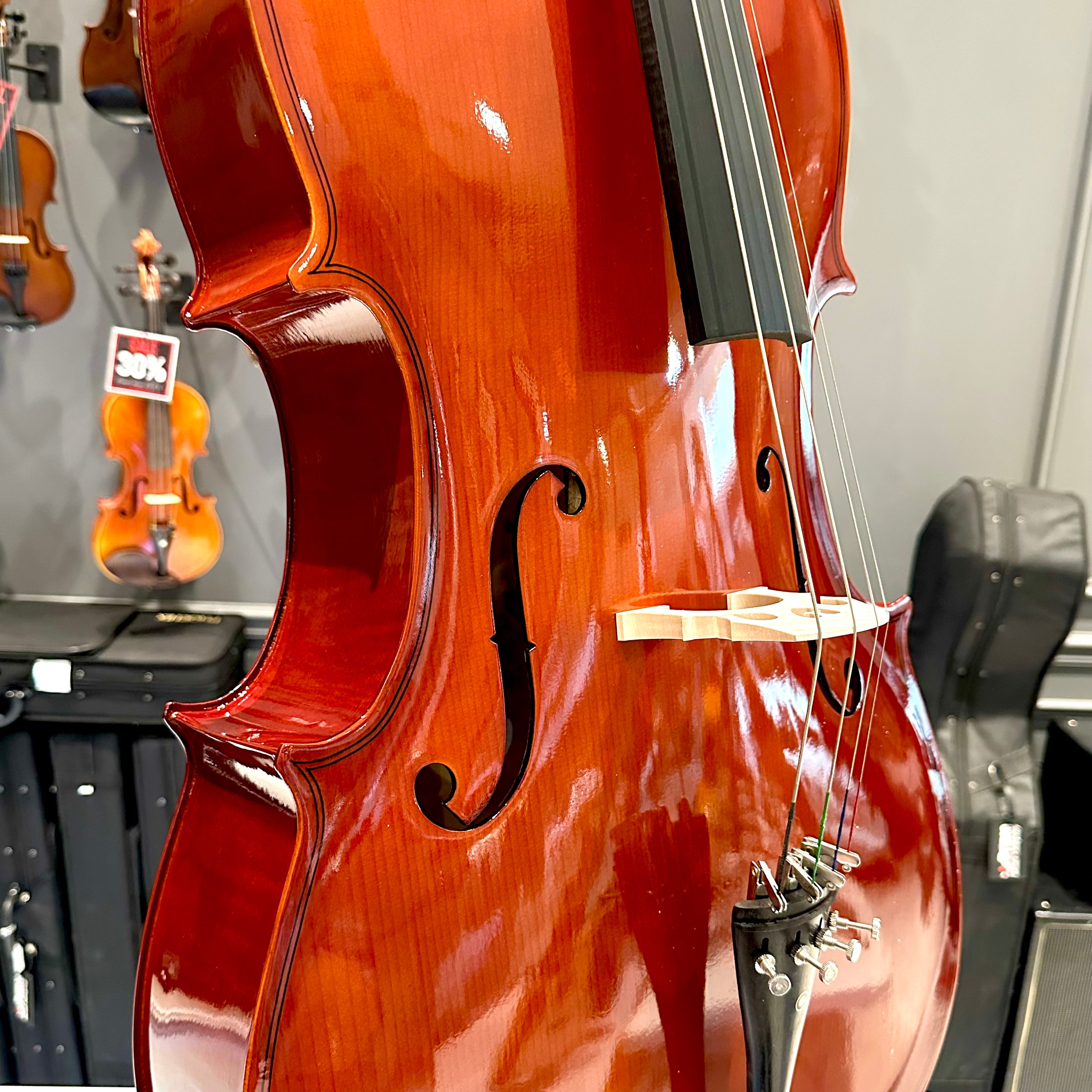 BACK TO SCHOOL SPECIAL: Strumenti a Corde 108: Student Cello, Solid Spruce Top, Glossy Finish - 4/4