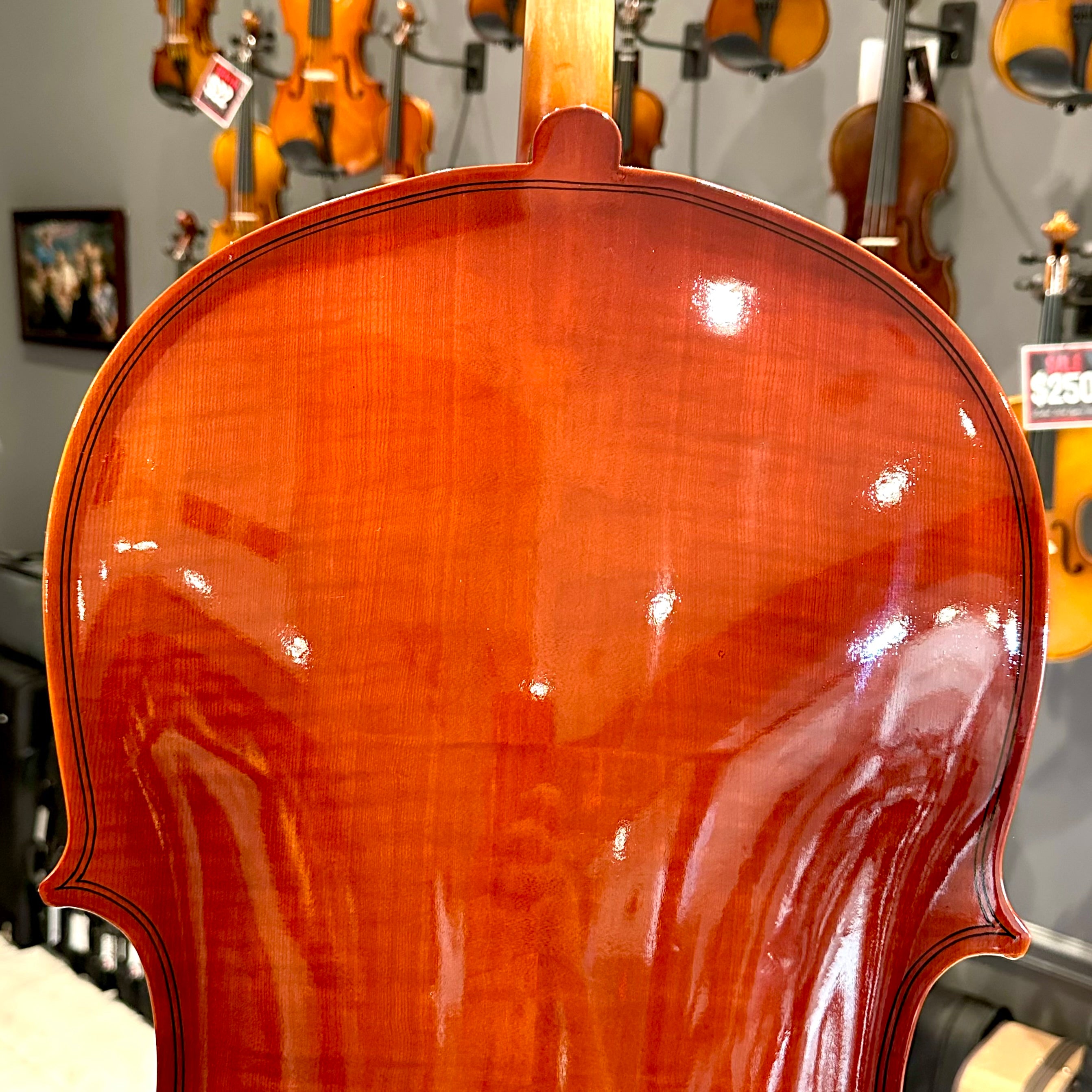 BACK TO SCHOOL SPECIAL: Strumenti a Corde 108: Student Cello, Solid Spruce Top, Glossy Finish - 4/4