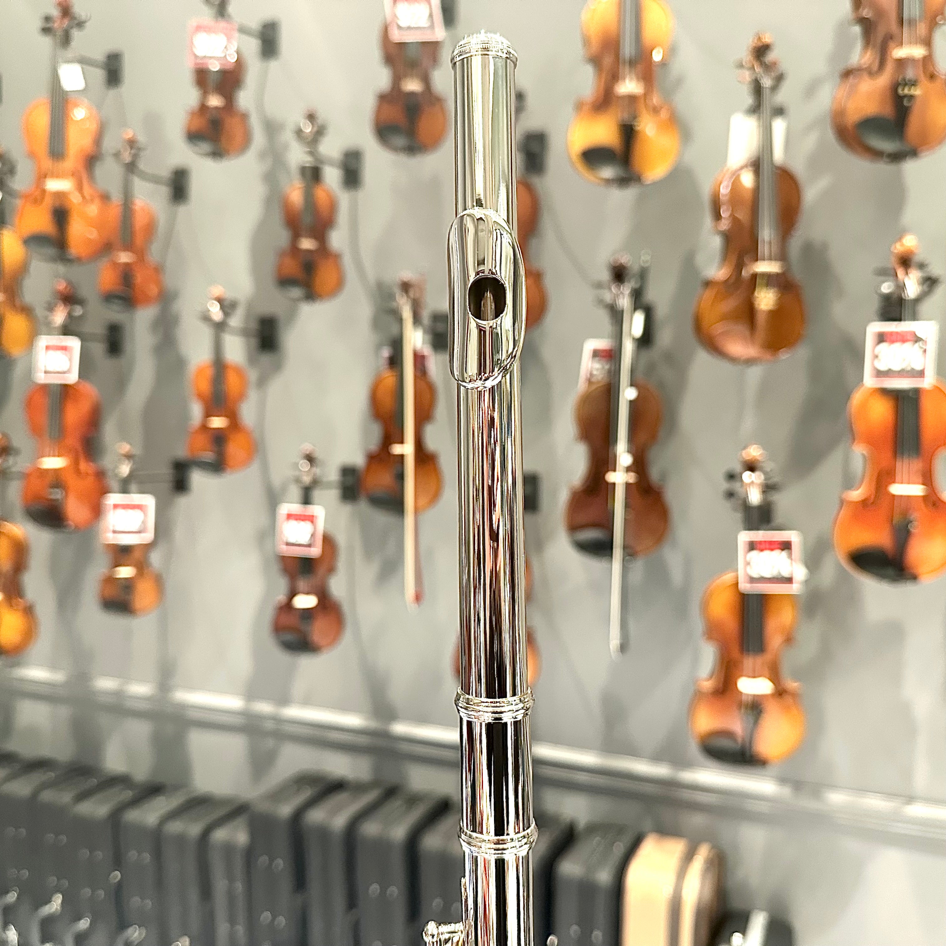 Rebrand F2: Student Flute, Beginner