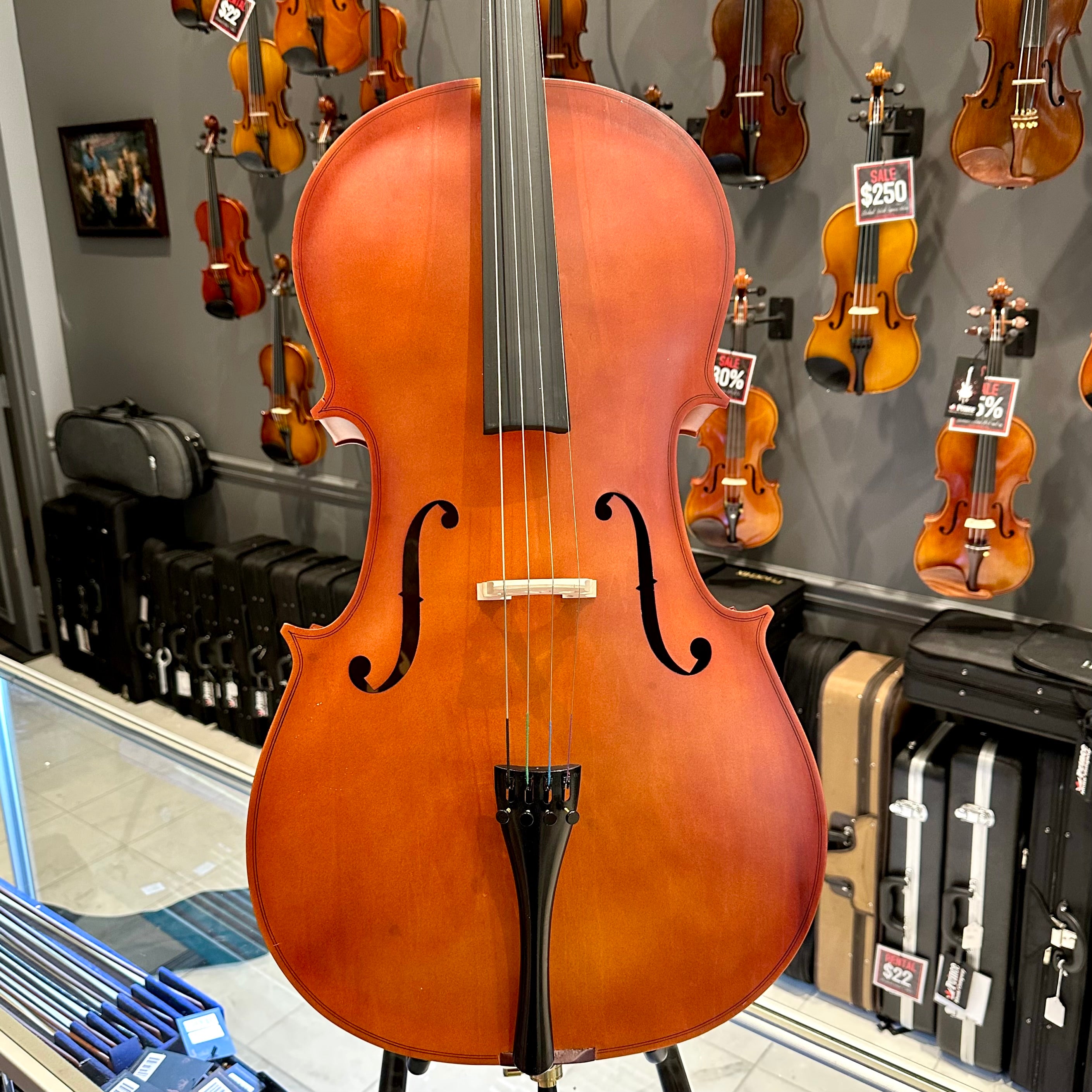 BACK TO SCHOOL SPECIAL: Strumenti a Corde 106: Student Cello, Laminate, Dark Matte - 4/4