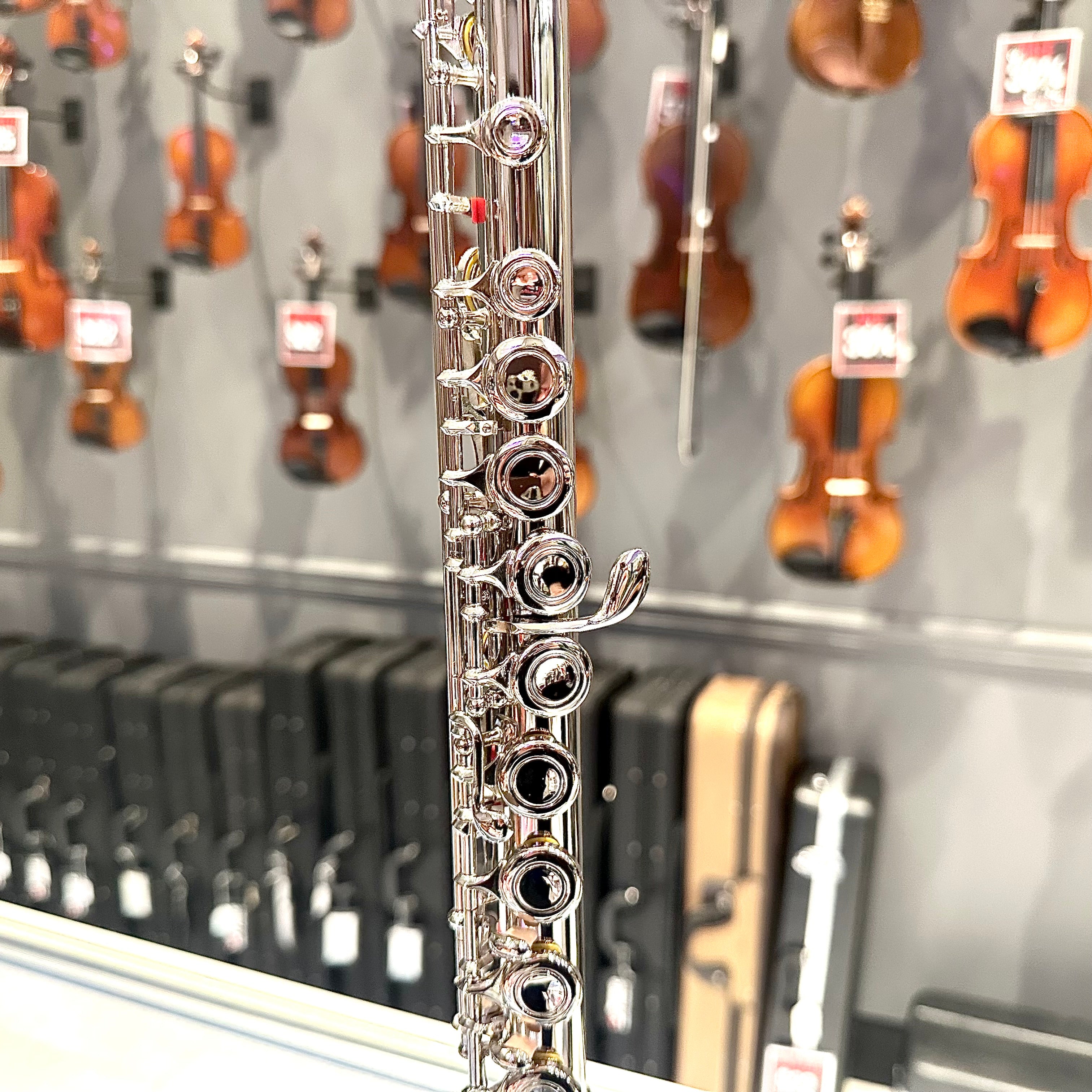 Rebrand F2: Student Flute, Beginner