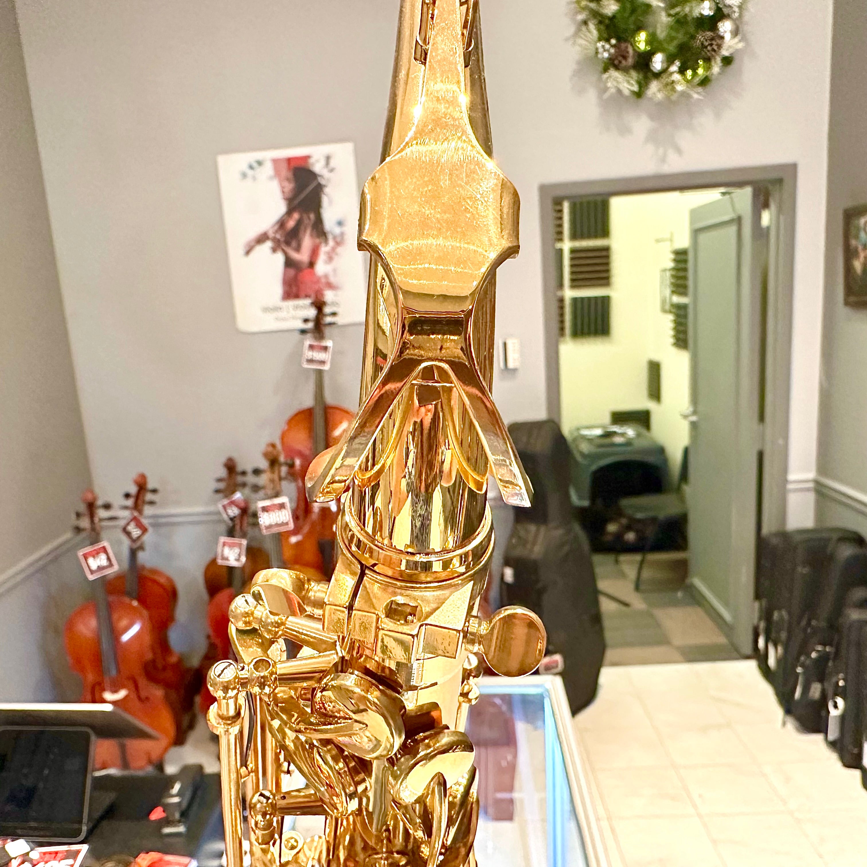 Fugue F82g: Student Alto Saxophone, Gold Lacquered