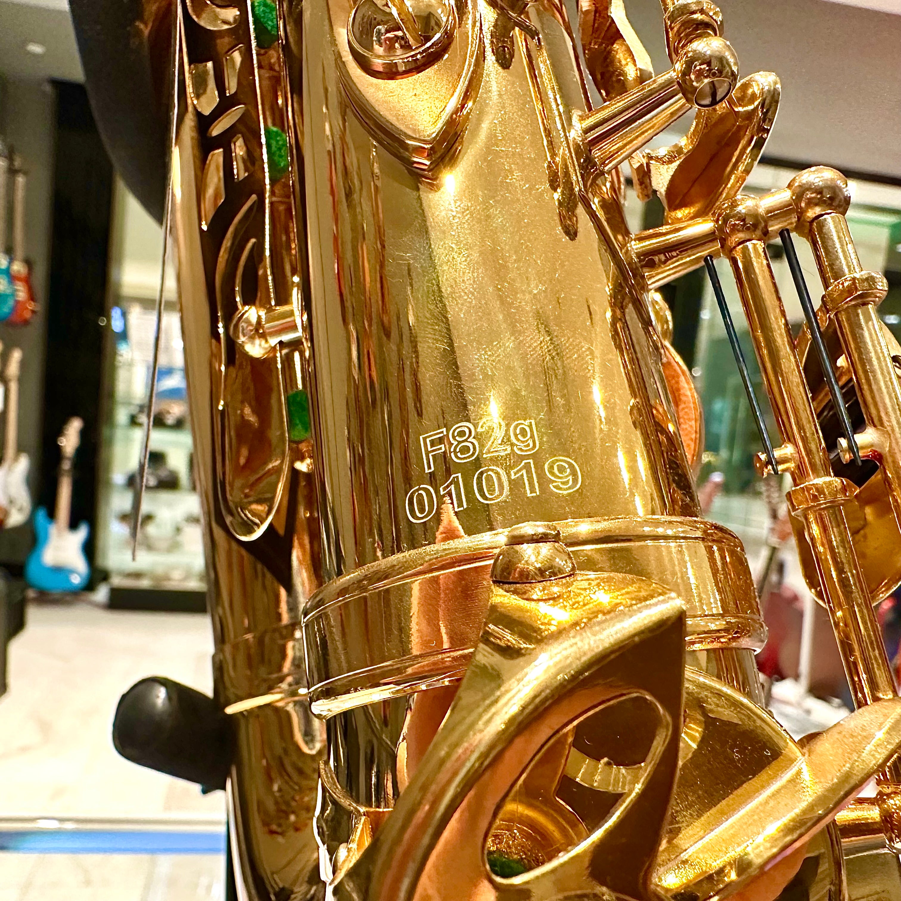 Fugue F82g: Student Alto Saxophone, Gold Lacquered