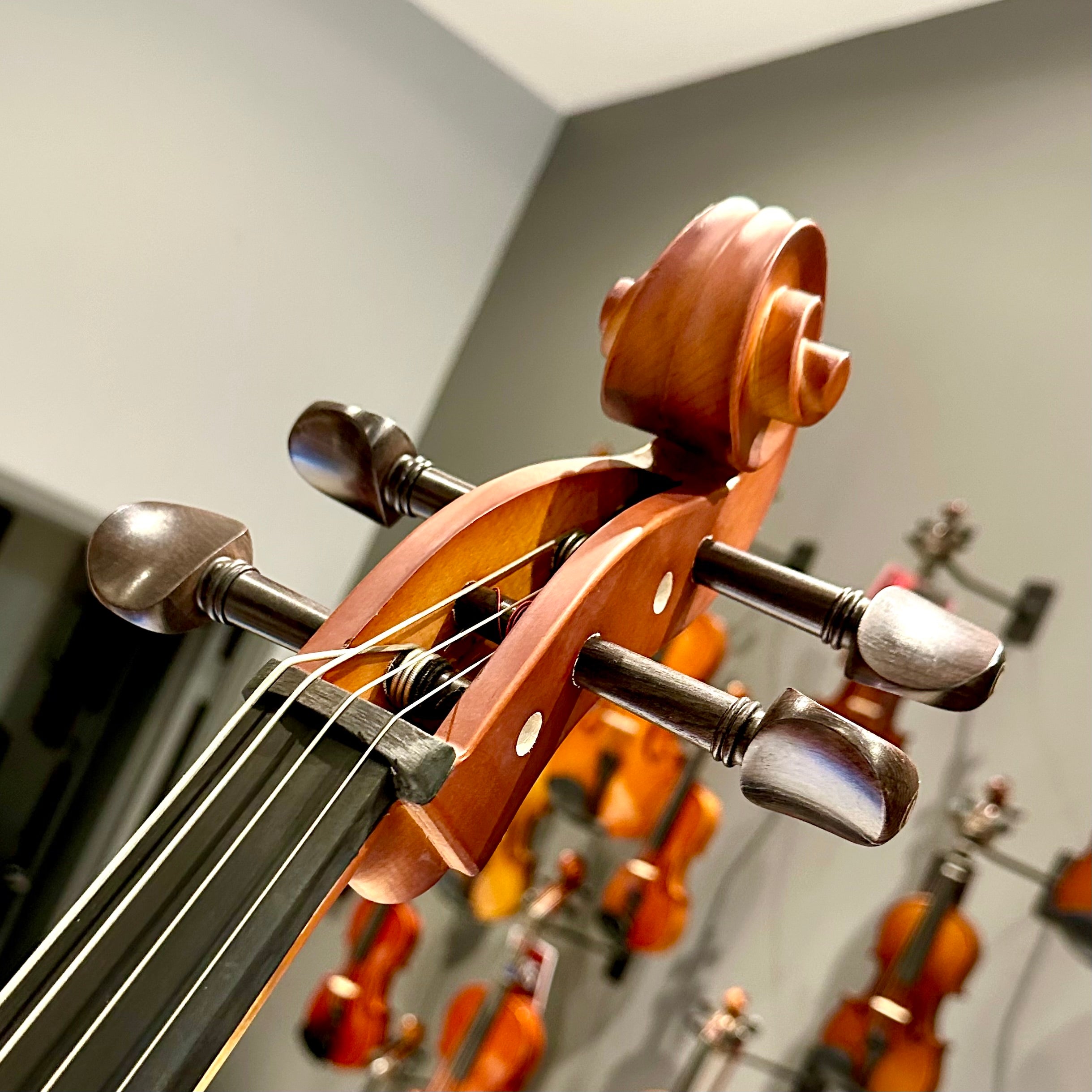 Strumenti a Corde 107: Student Cello, Solid Spruce Top, Matte Finish - 4/4