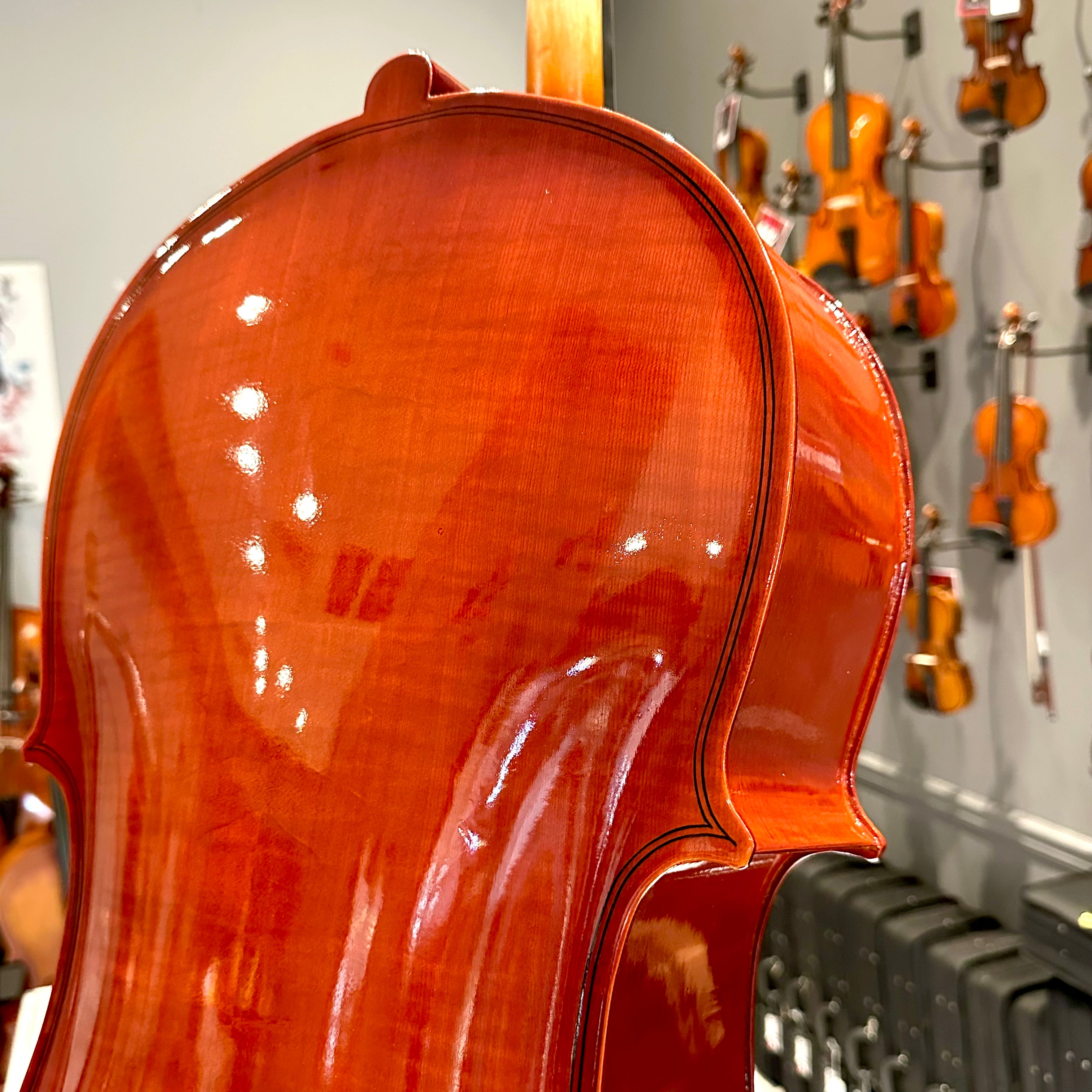 BACK TO SCHOOL SPECIAL: Strumenti a Corde 108: Student Cello, Solid Spruce Top, Glossy Finish - 4/4