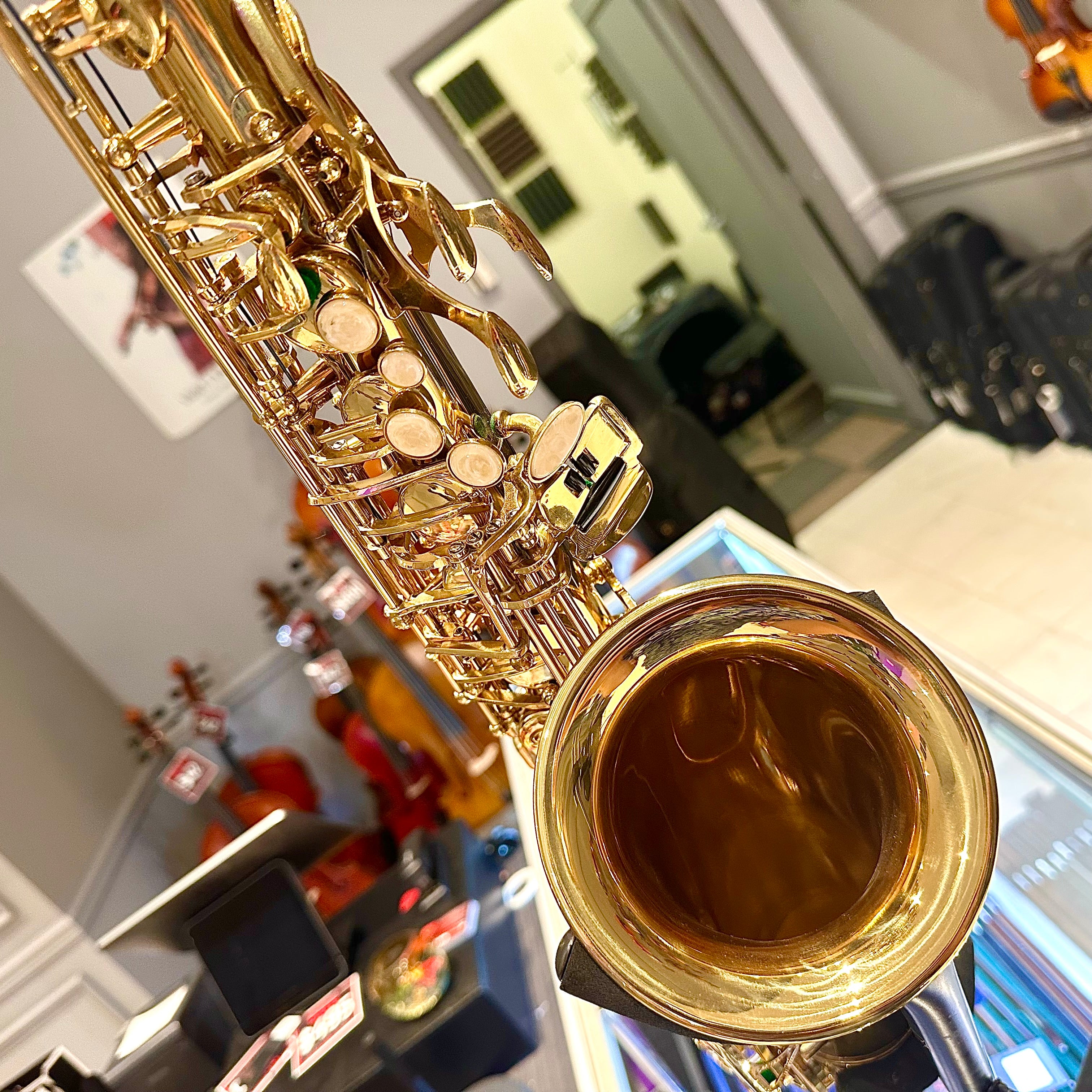 Fugue F84g: Student Alto Saxophone, Gold Lacquered