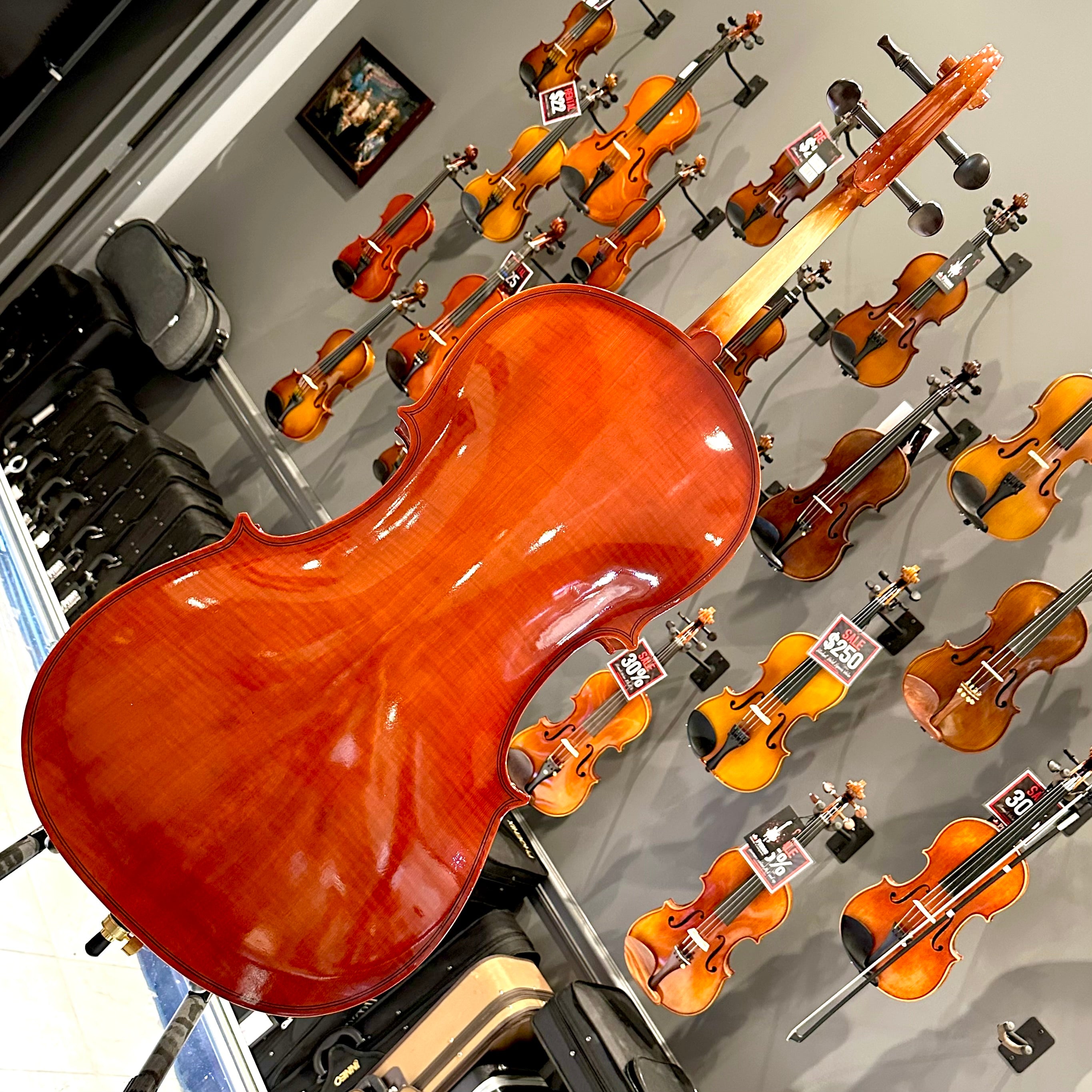 BACK TO SCHOOL SPECIAL: Strumenti a Corde 108: Student Cello, Solid Spruce Top, Glossy Finish - 4/4