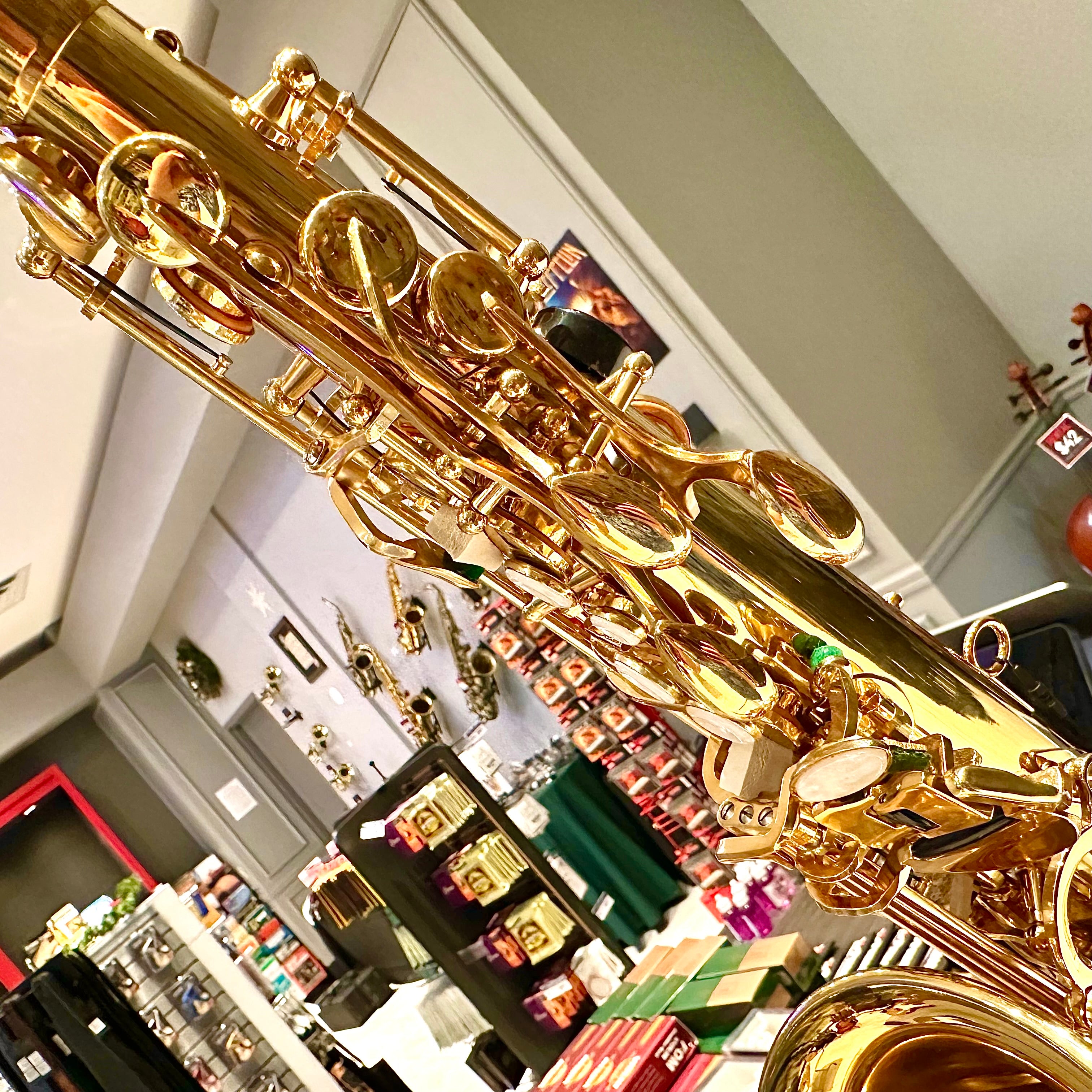 Fugue F82g: Student Alto Saxophone, Gold Lacquered