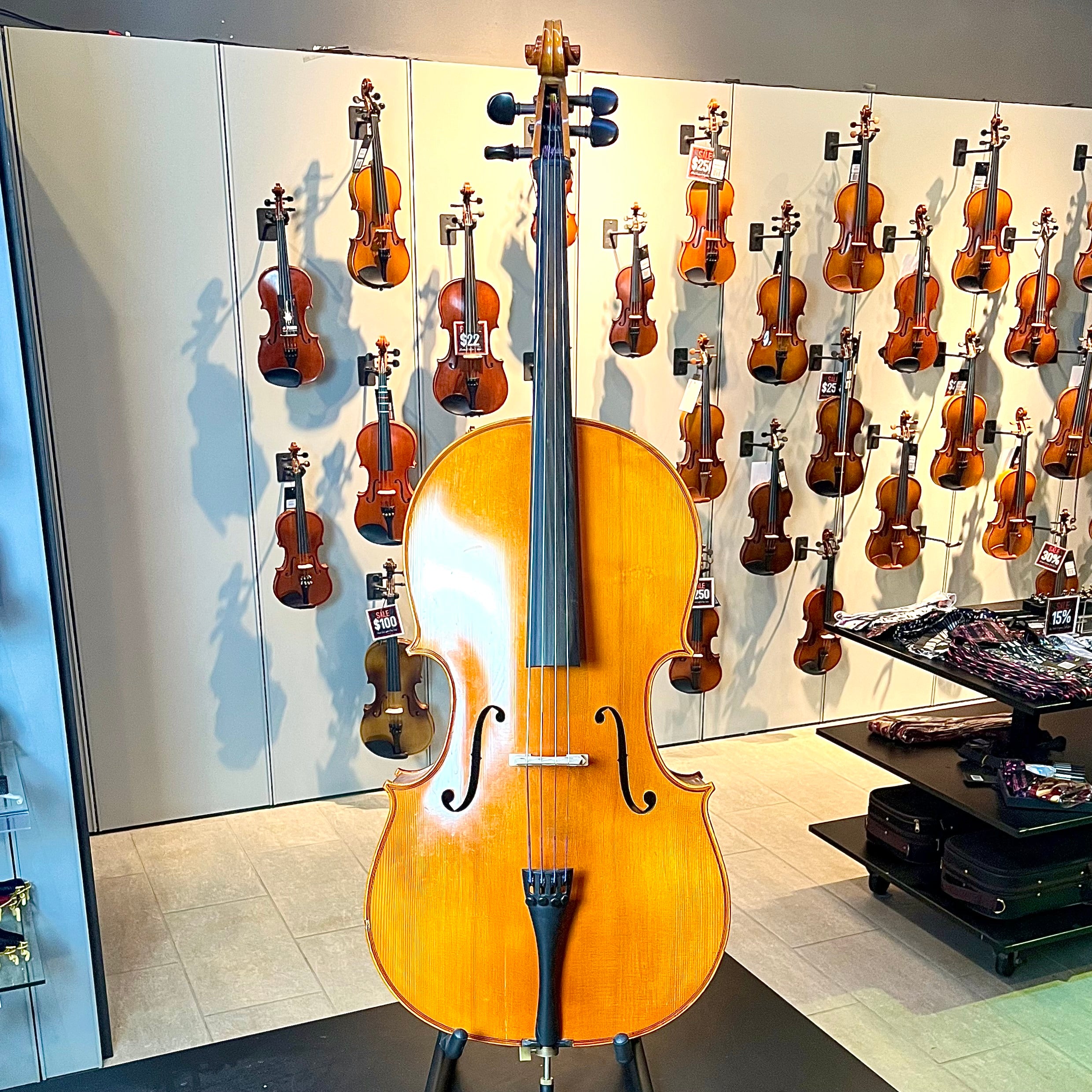 Segue: Concertino, 1/2 Cello, anno 2012