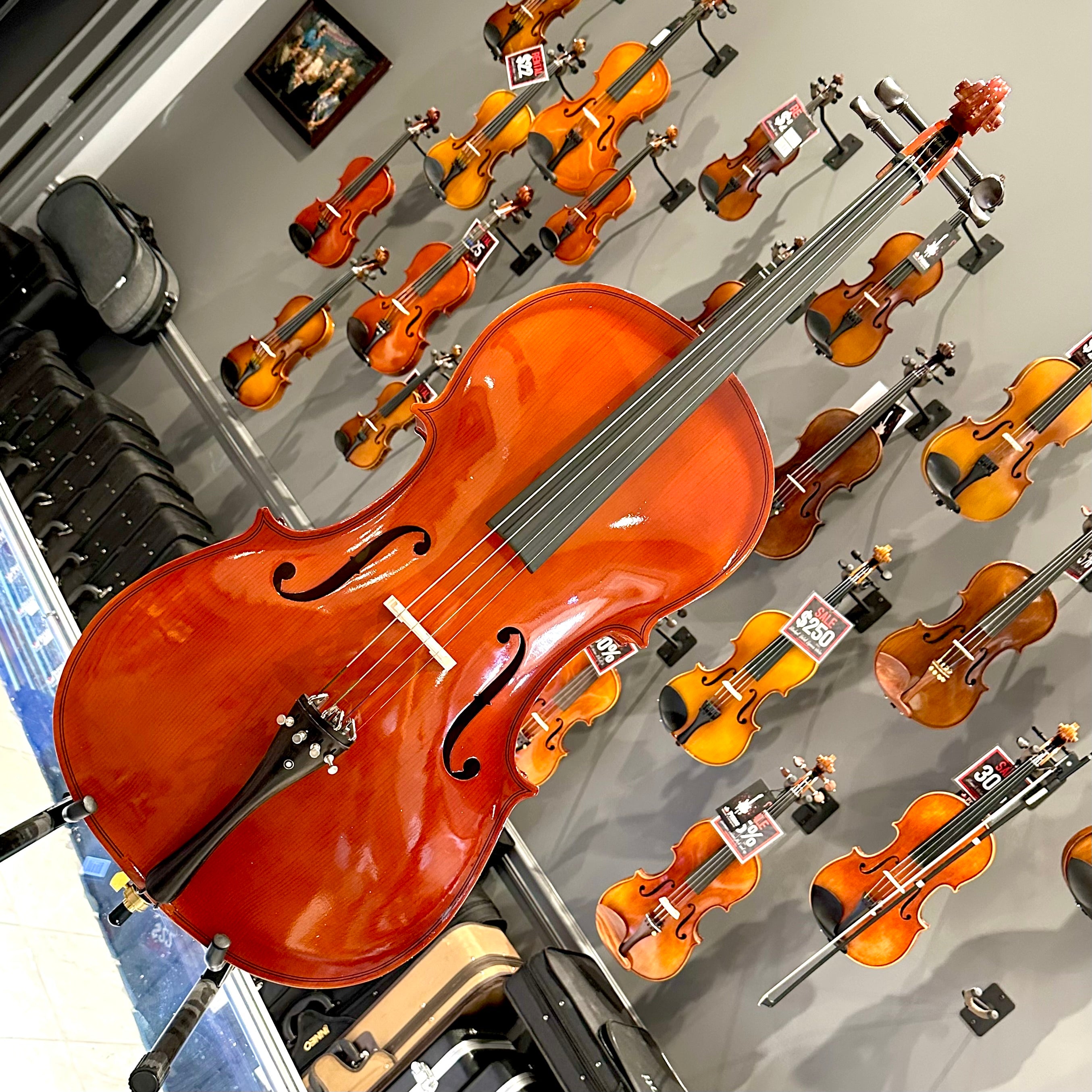 BACK TO SCHOOL SPECIAL: Strumenti a Corde 108: Student Cello, Solid Spruce Top, Glossy Finish - 4/4