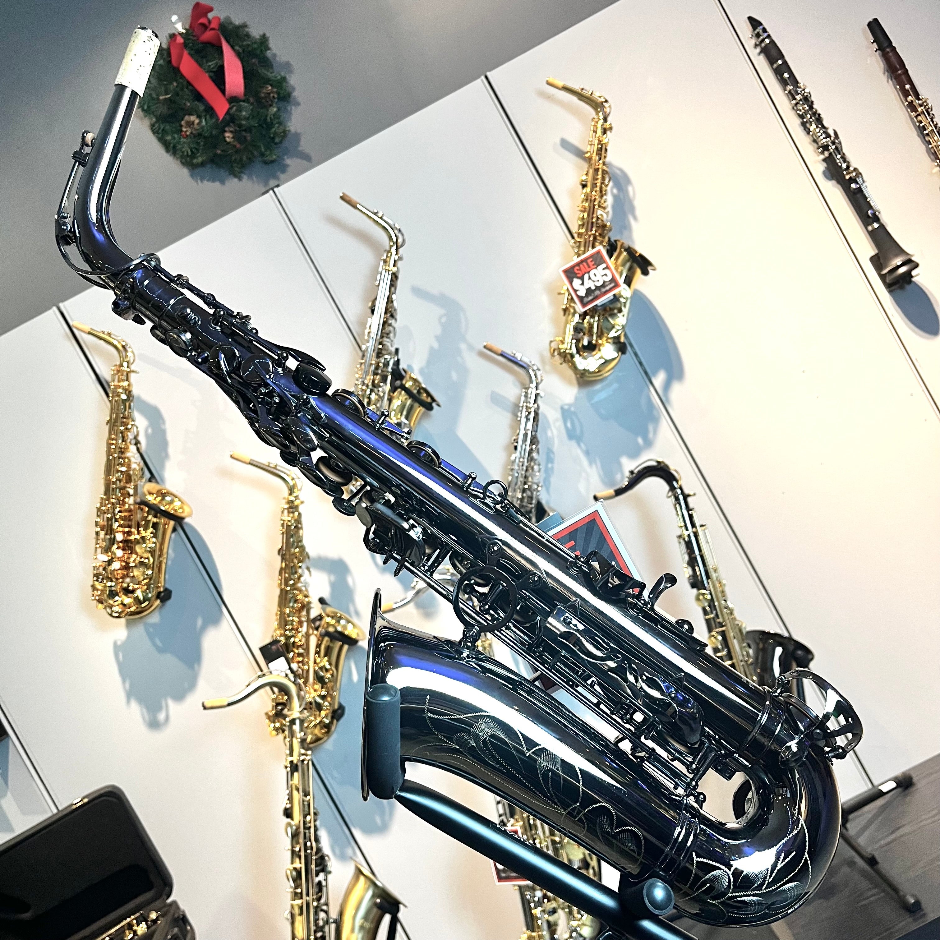 Opal OAS-500: Professional Alto Saxophone, Black Nickel Finish