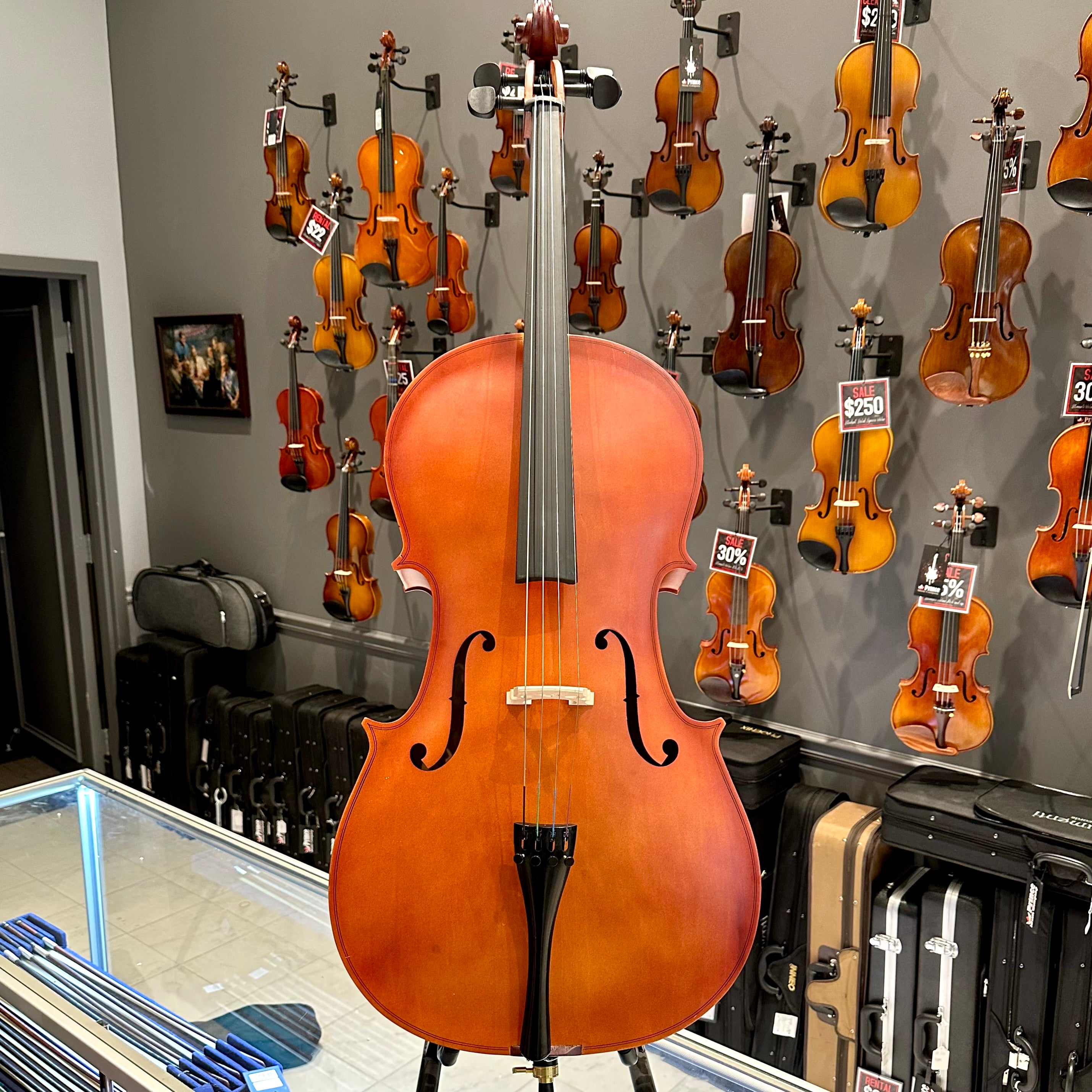 BACK TO SCHOOL SPECIAL: Strumenti a Corde 106: Student Cello, Laminate, Dark Matte - 4/4