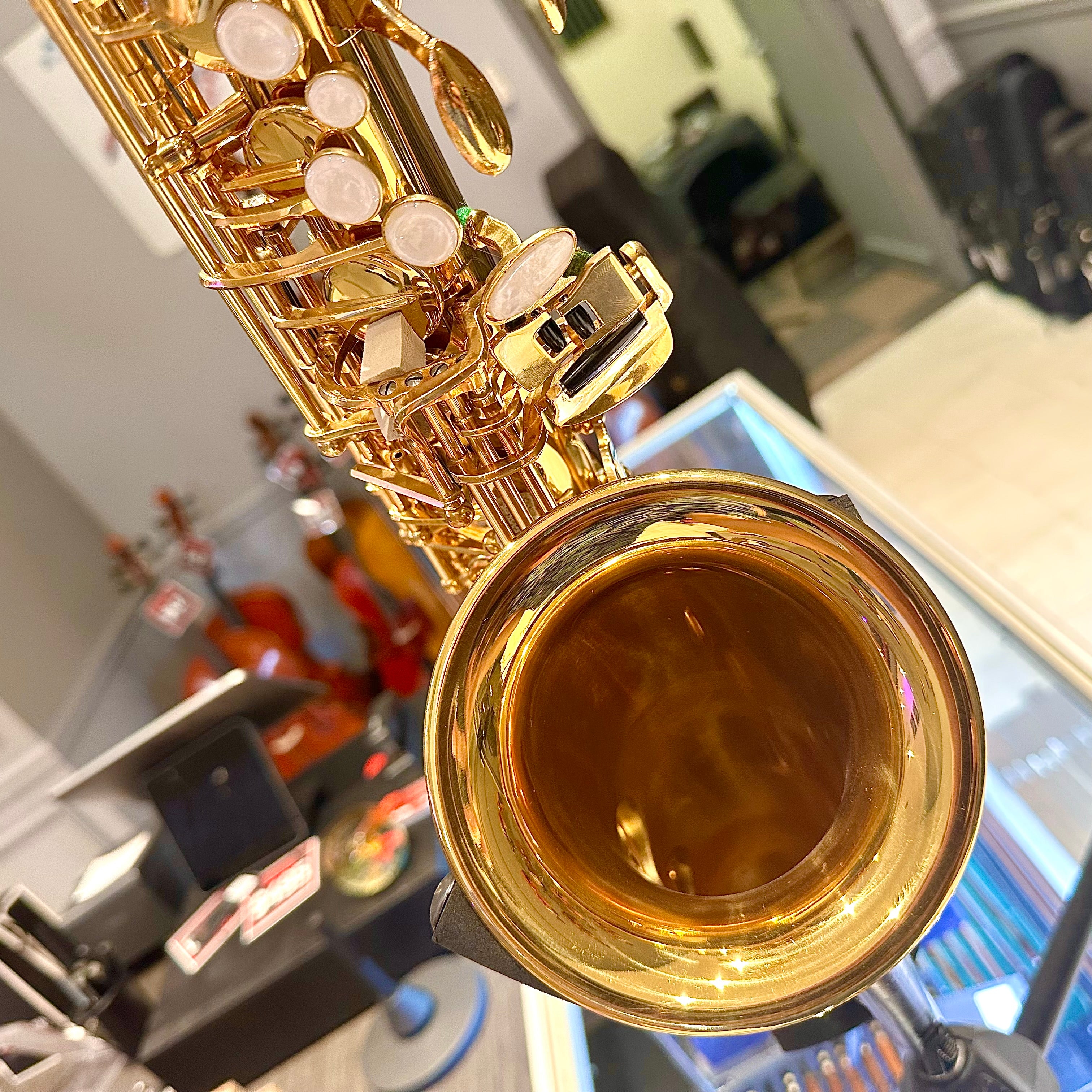 Fugue F82g: Student Alto Saxophone, Gold Lacquered