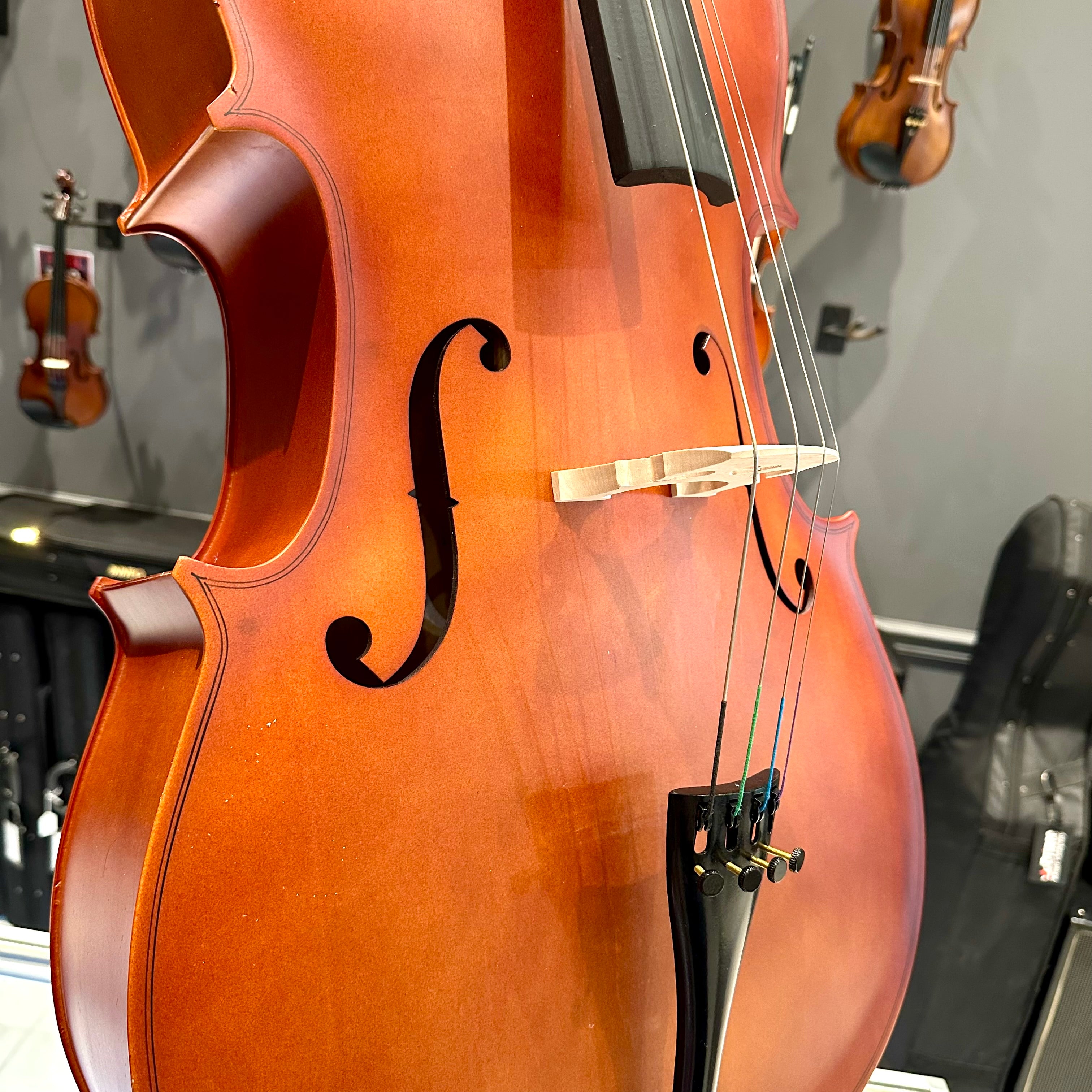 BACK TO SCHOOL SPECIAL: Strumenti a Corde 106: Student Cello, Laminate, Dark Matte - 4/4