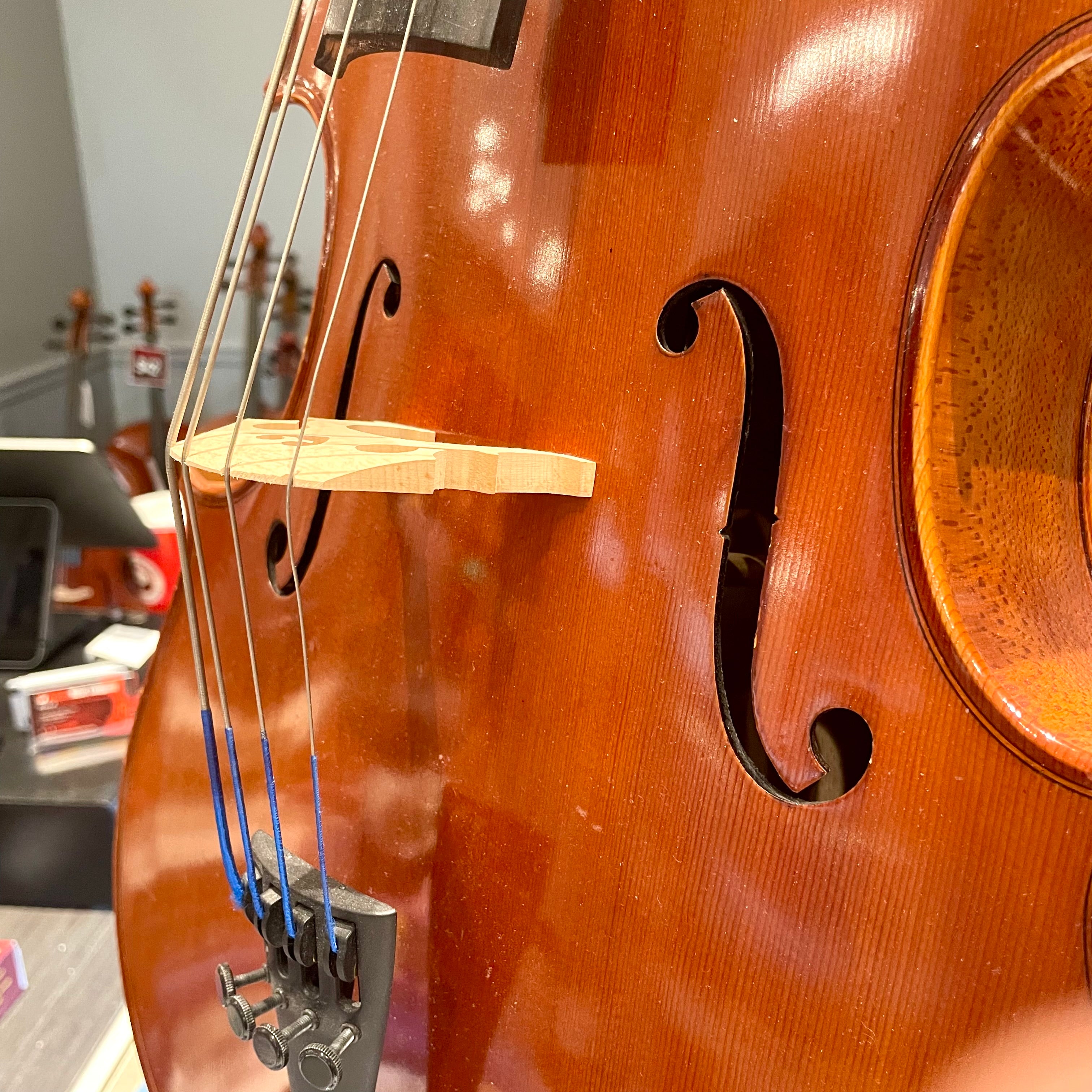 Eastman VC100: Student Cello - 1/4, Used