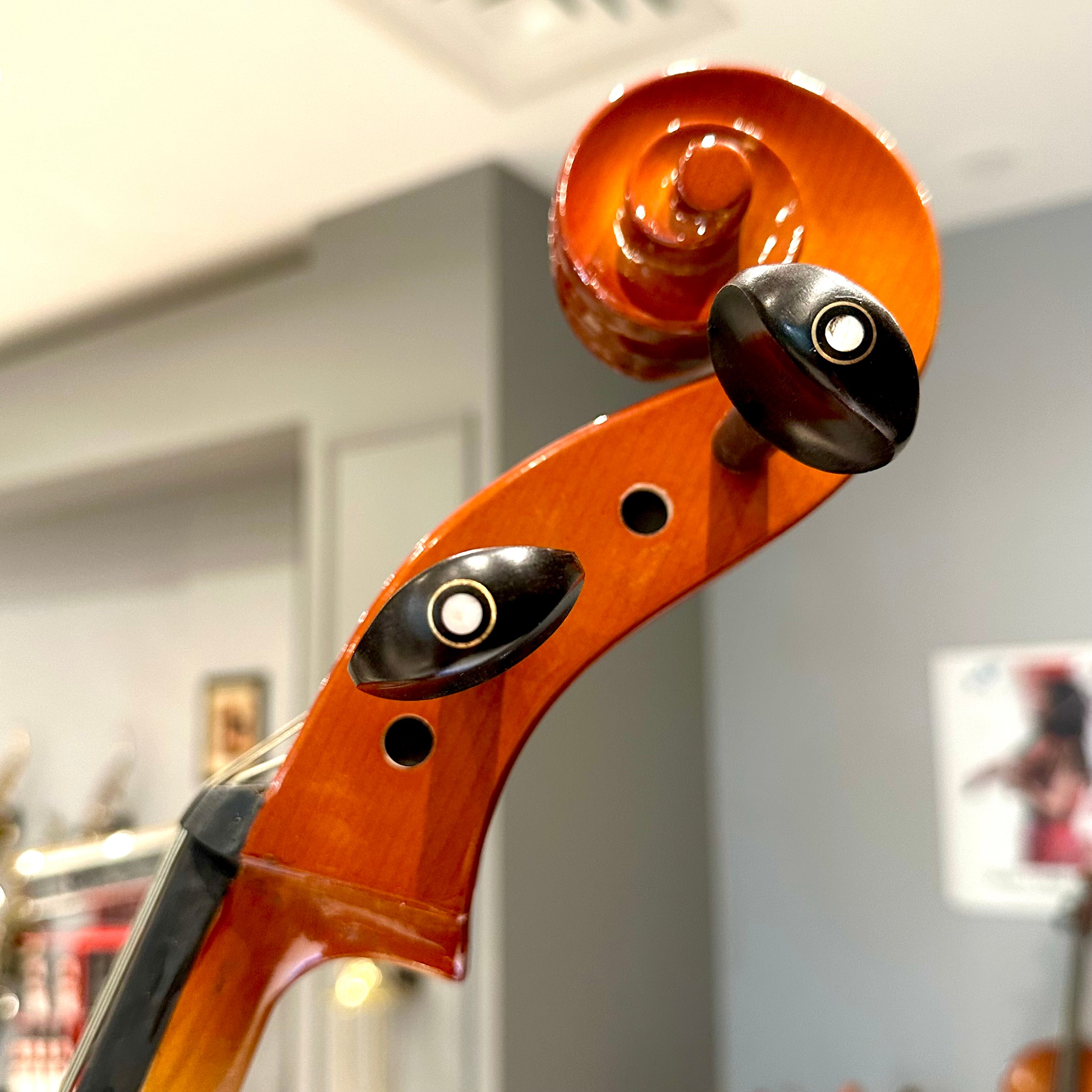 BACK TO SCHOOL SPECIAL: Strumenti a Corde 108: Student Cello, Solid Spruce Top, Glossy Finish - 4/4