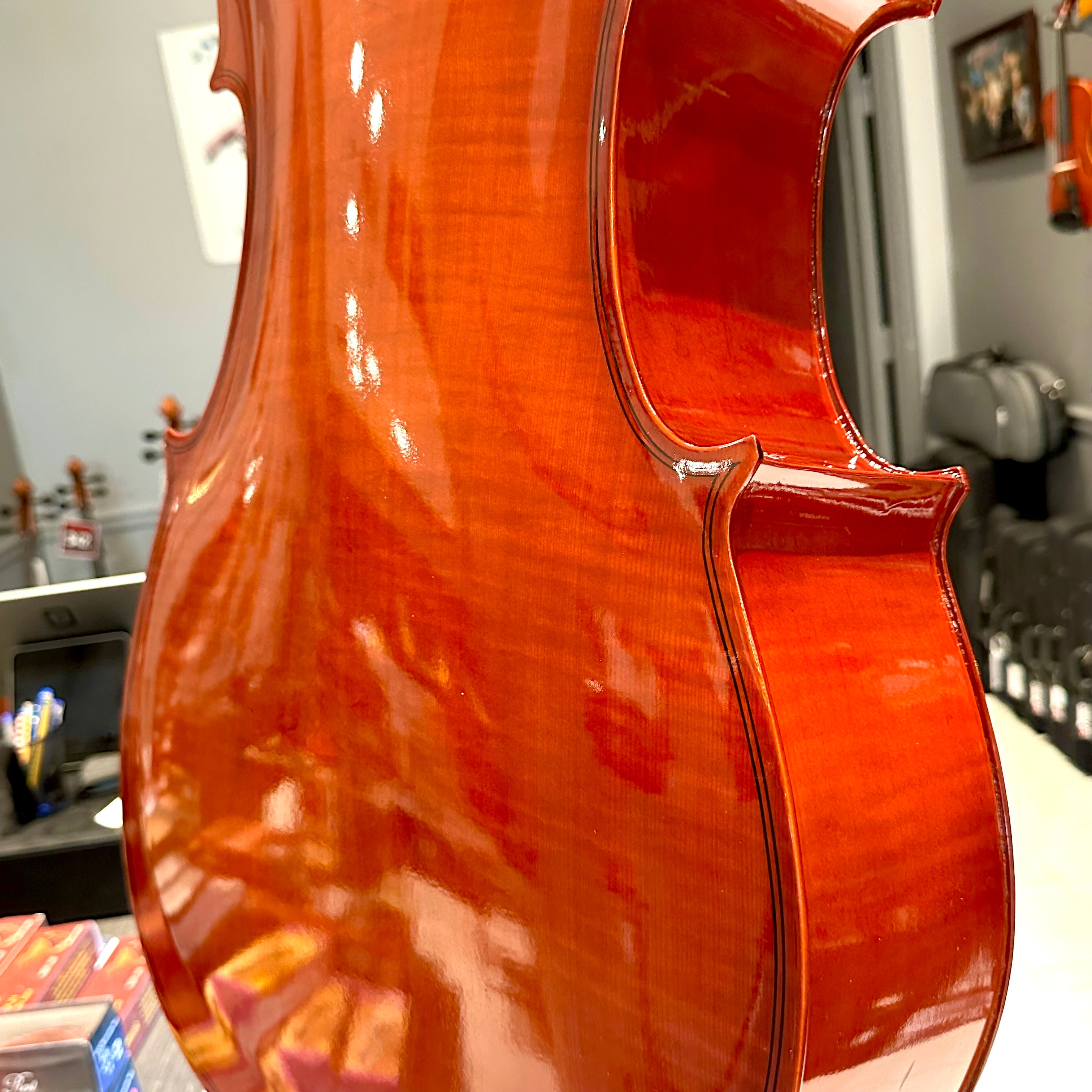 BACK TO SCHOOL SPECIAL: Strumenti a Corde 108: Student Cello, Solid Spruce Top, Glossy Finish - 4/4