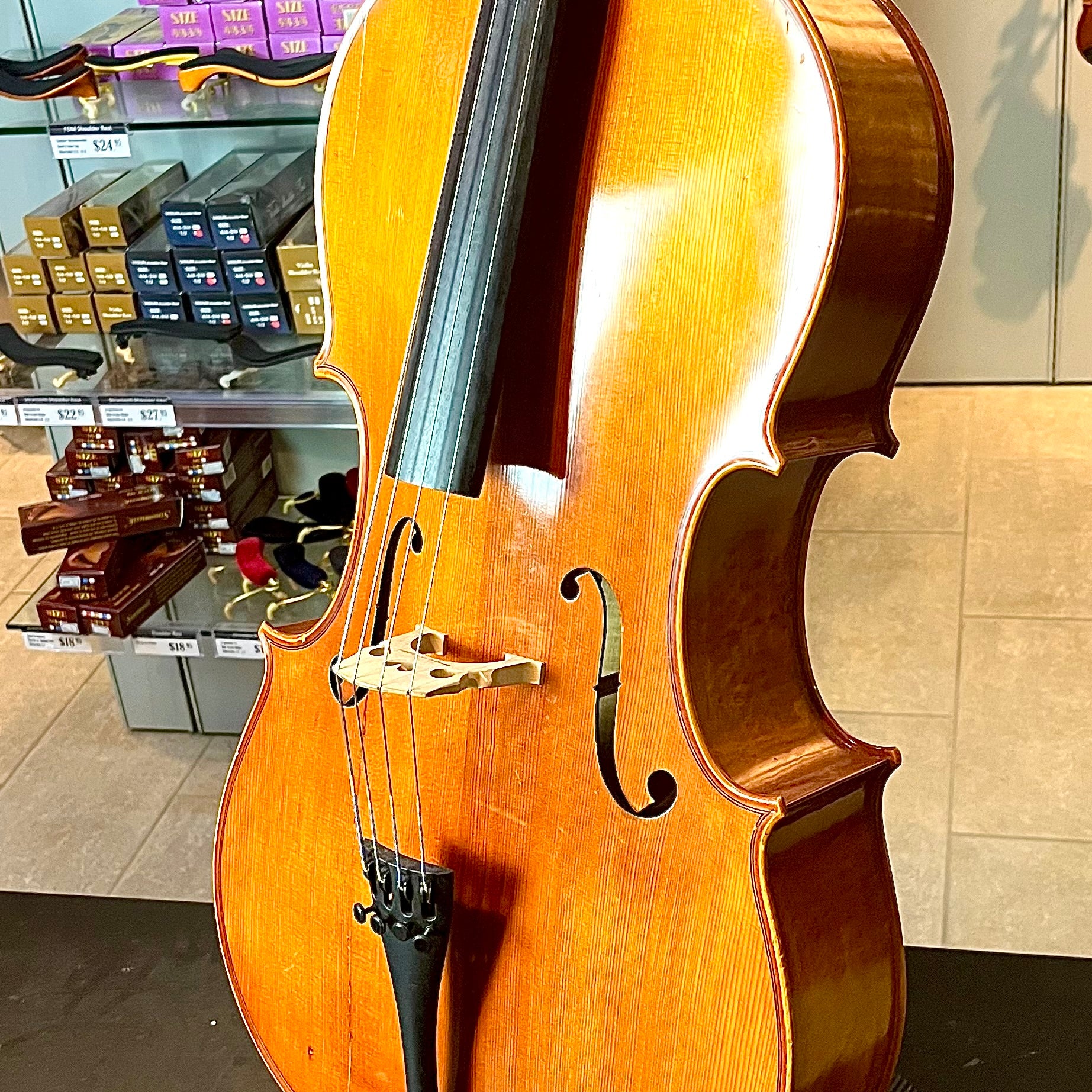 Segue: Concertino Plus, 1/2 Cello, anno 2016