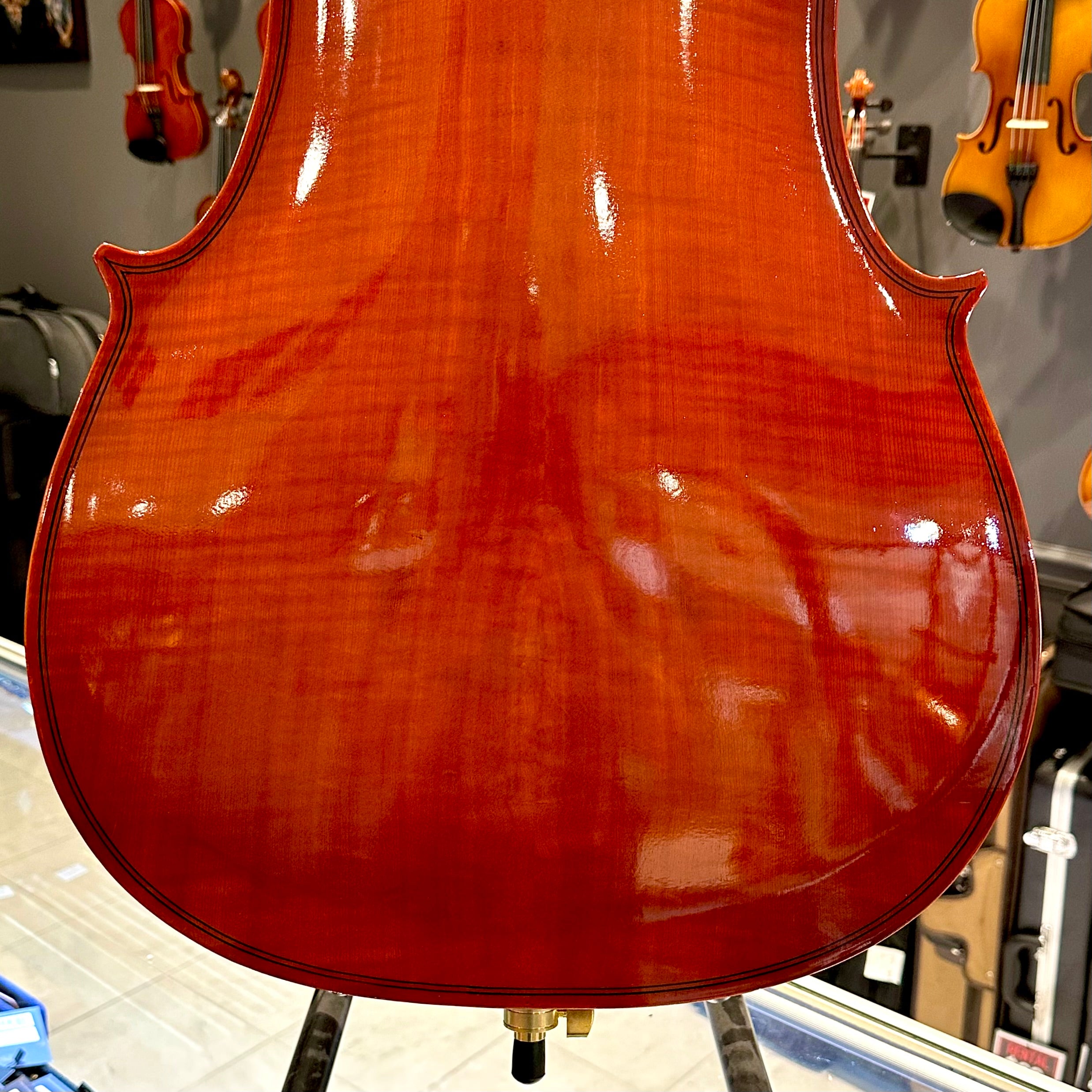 BACK TO SCHOOL SPECIAL: Strumenti a Corde 108: Student Cello, Solid Spruce Top, Glossy Finish - 4/4