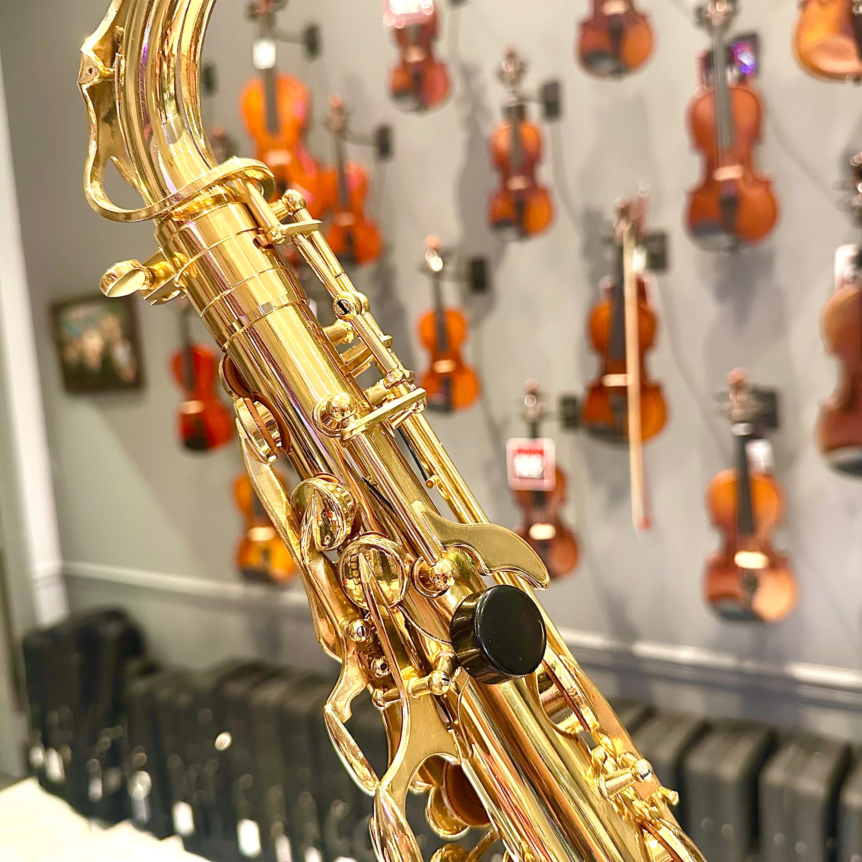 Fugue F84g: Student Alto Saxophone, Gold Lacquered