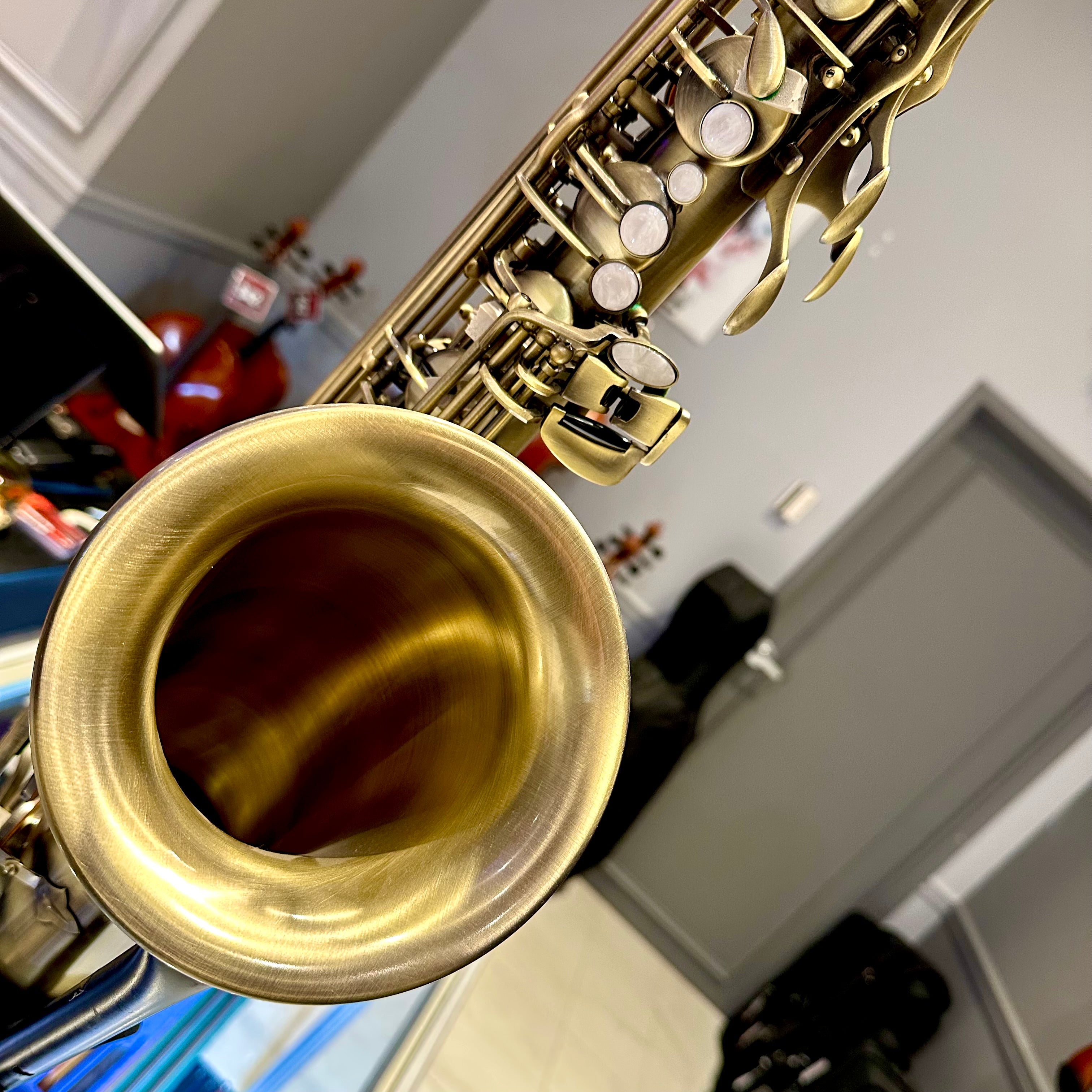 Fugue F35ii: Professional Tenor Saxophone, Antigue Finish