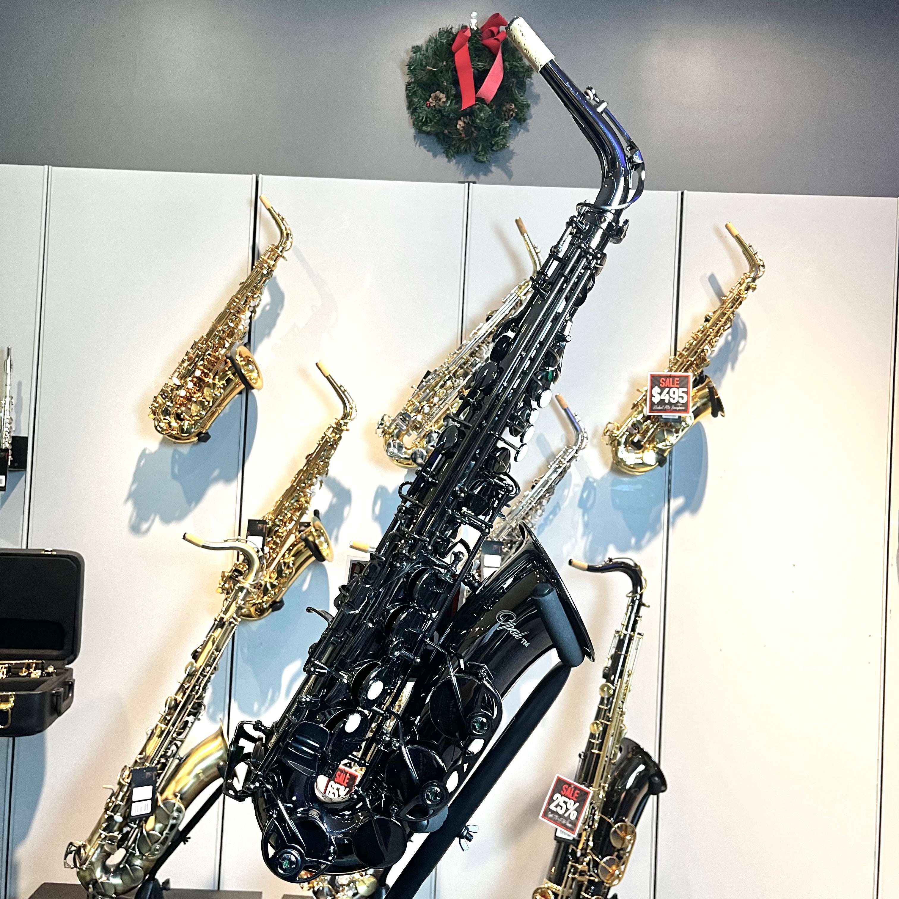 Opal OAS-500: Professional Alto Saxophone, Black Nickel Finish