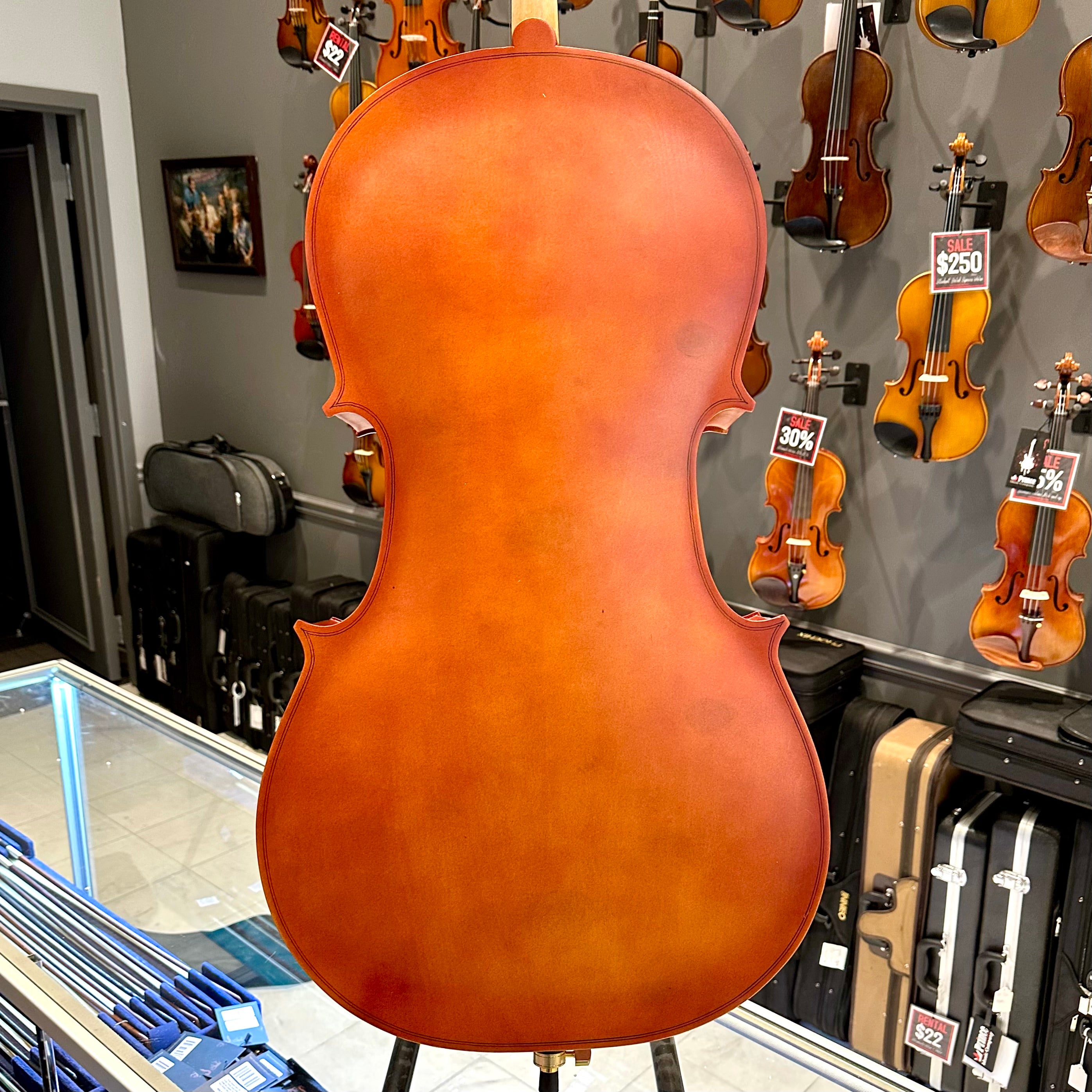 BACK TO SCHOOL SPECIAL: Strumenti a Corde 106: Student Cello, Laminate, Dark Matte - 4/4