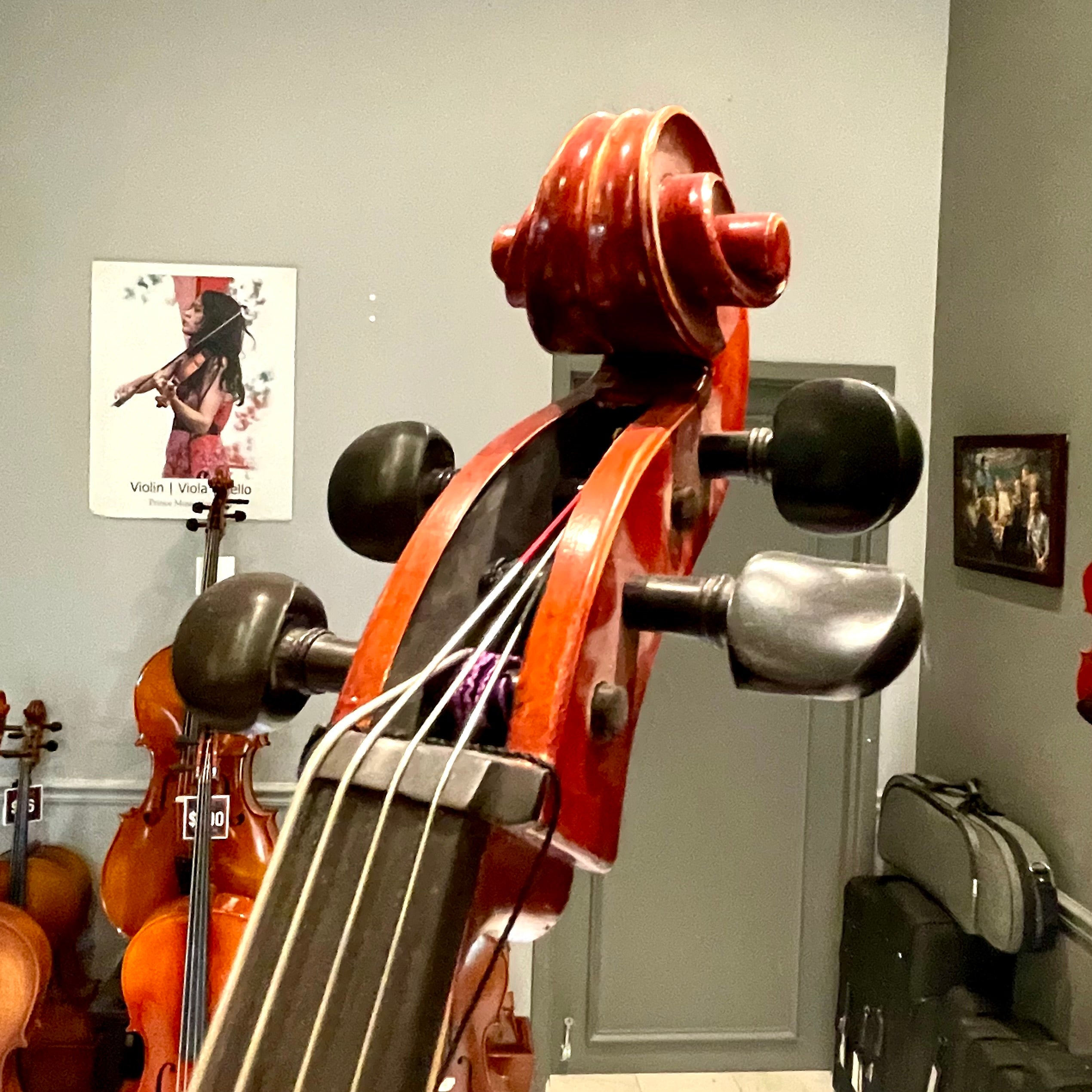 Rebrand Student Cello 1/4, Used