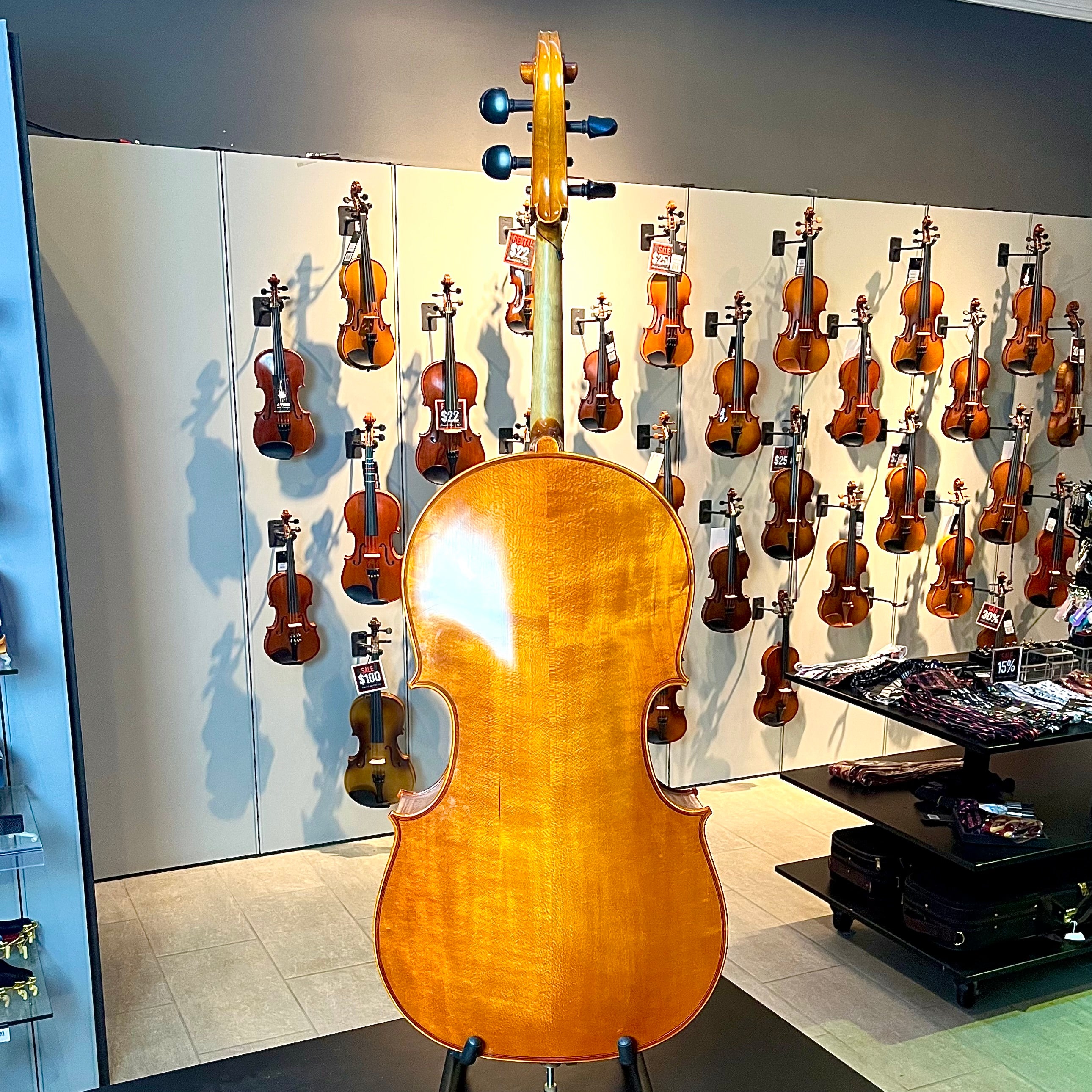 Segue: Concertino, 1/2 Cello, anno 2012