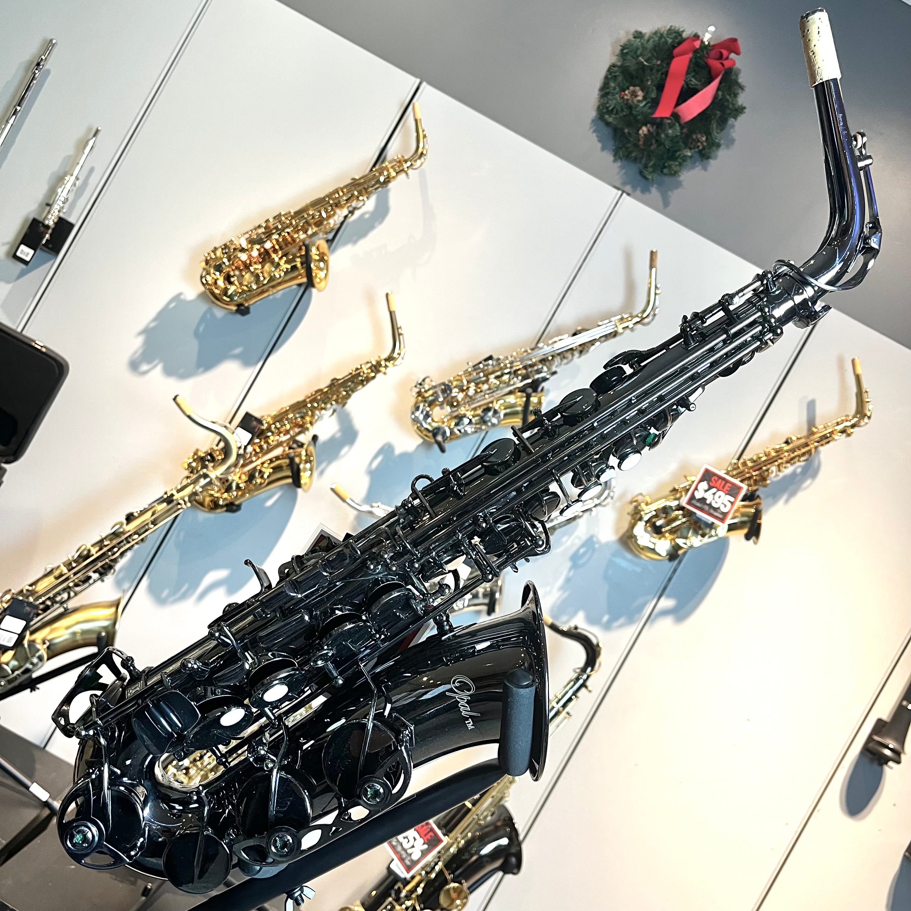 Opal OAS-500: Professional Alto Saxophone, Black Nickel Finish