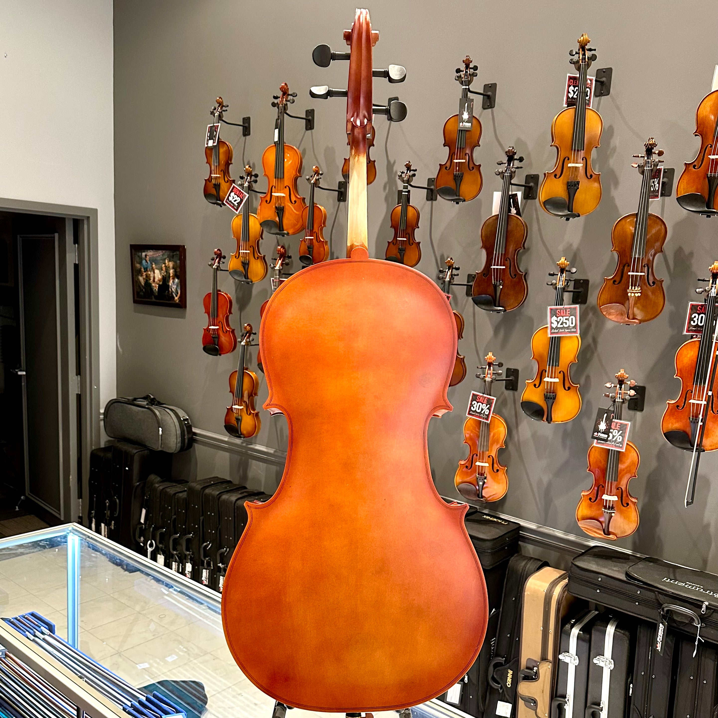 BACK TO SCHOOL SPECIAL: Strumenti a Corde 106: Student Cello, Laminate, Dark Matte - 4/4