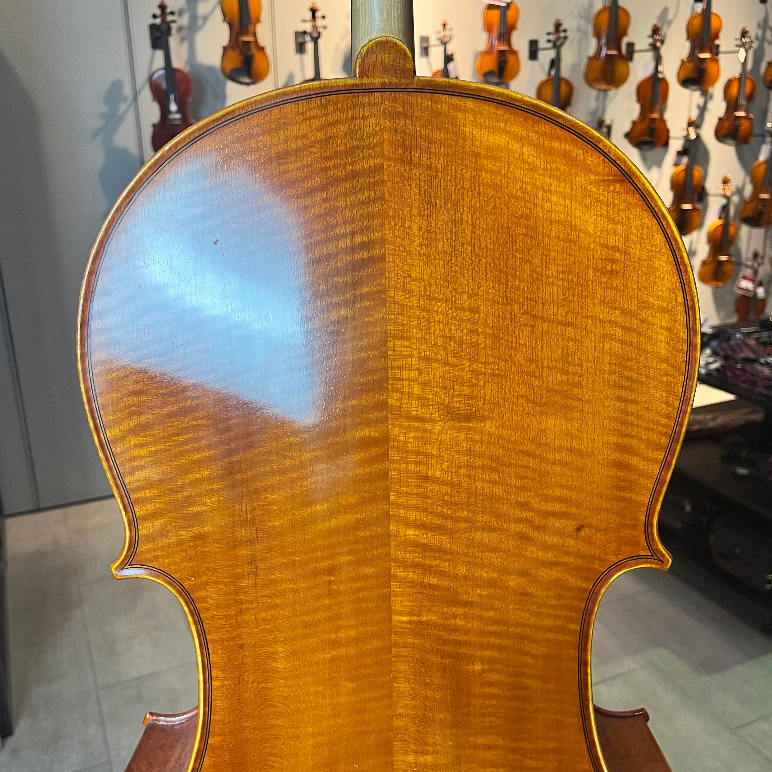 Segue: Concertino Plus, 1/2 Cello, anno 2016