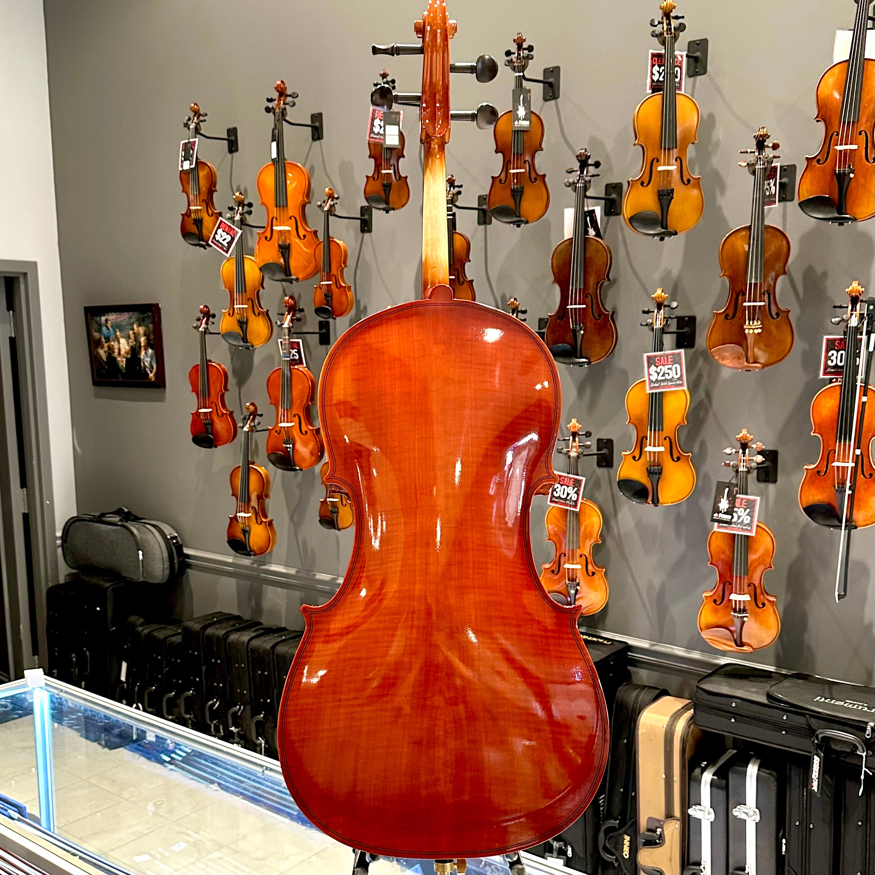 BACK TO SCHOOL SPECIAL: Strumenti a Corde 108: Student Cello, Solid Spruce Top, Glossy Finish - 4/4