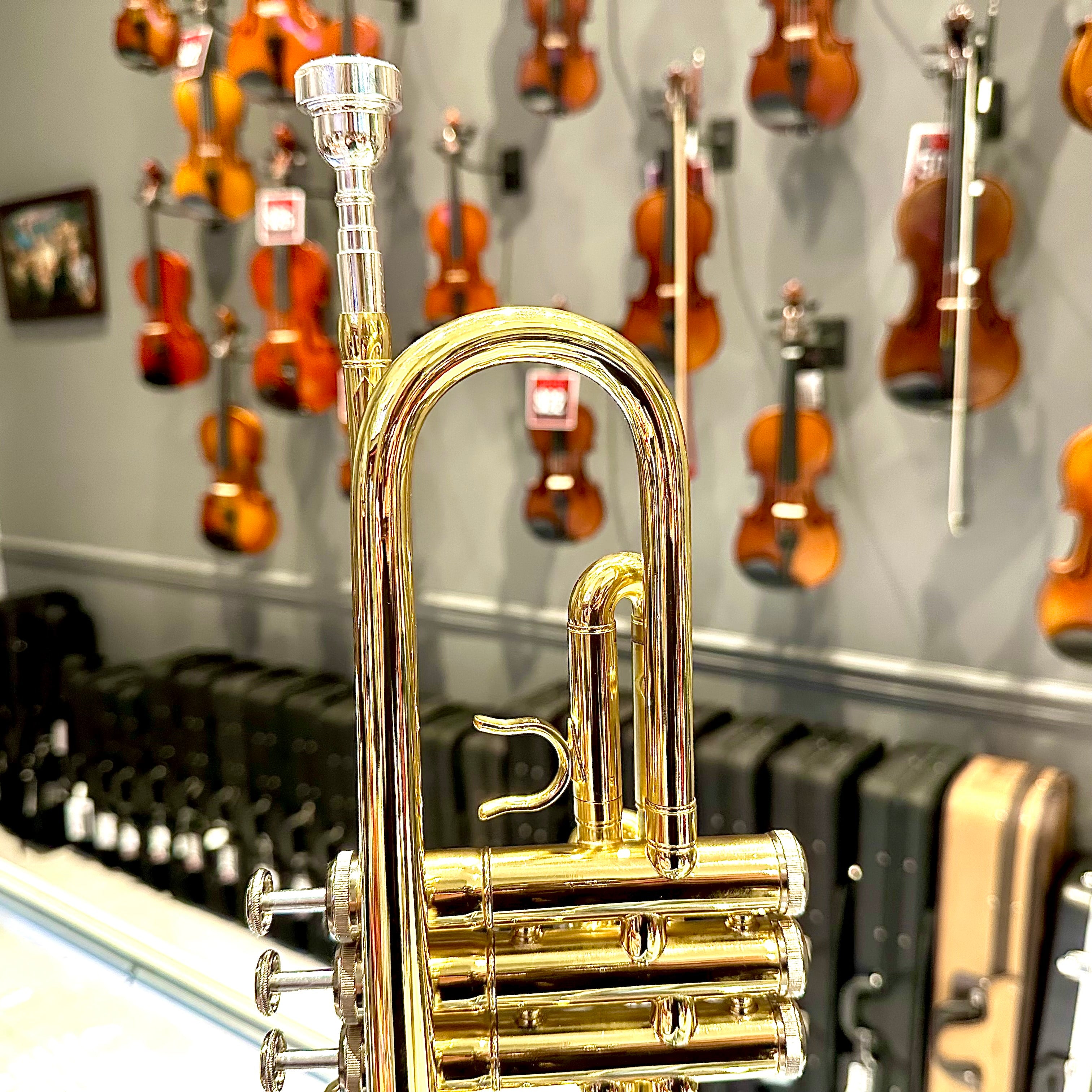 Rebrand TR2: Student Trumpet, Yellow Brass