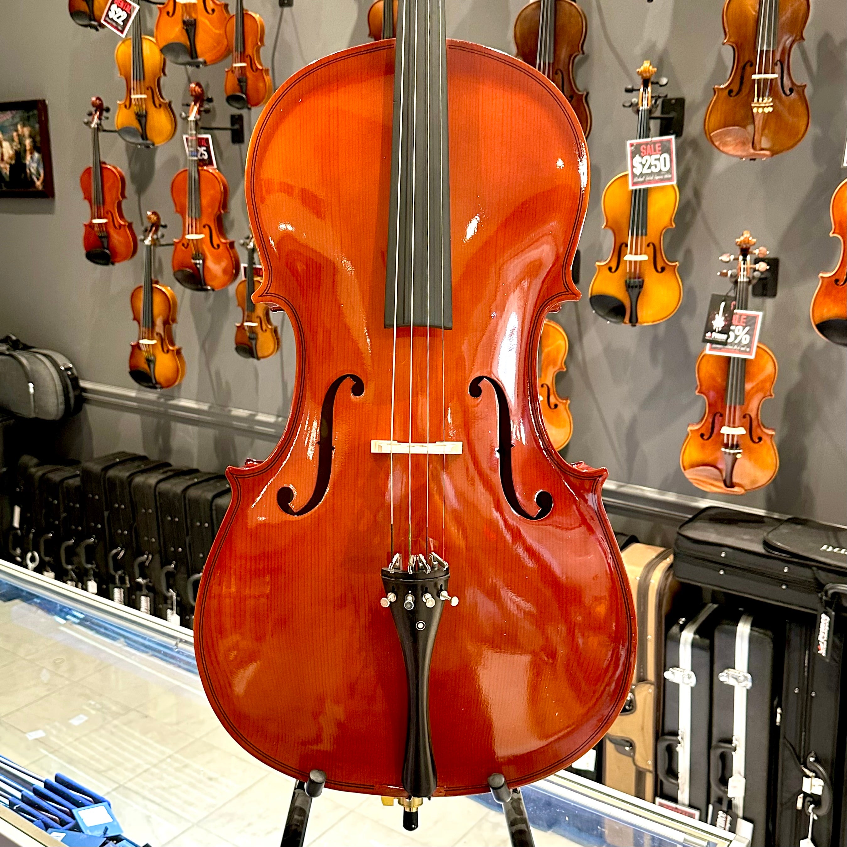 BACK TO SCHOOL SPECIAL: Strumenti a Corde 108: Student Cello, Solid Spruce Top, Glossy Finish - 4/4
