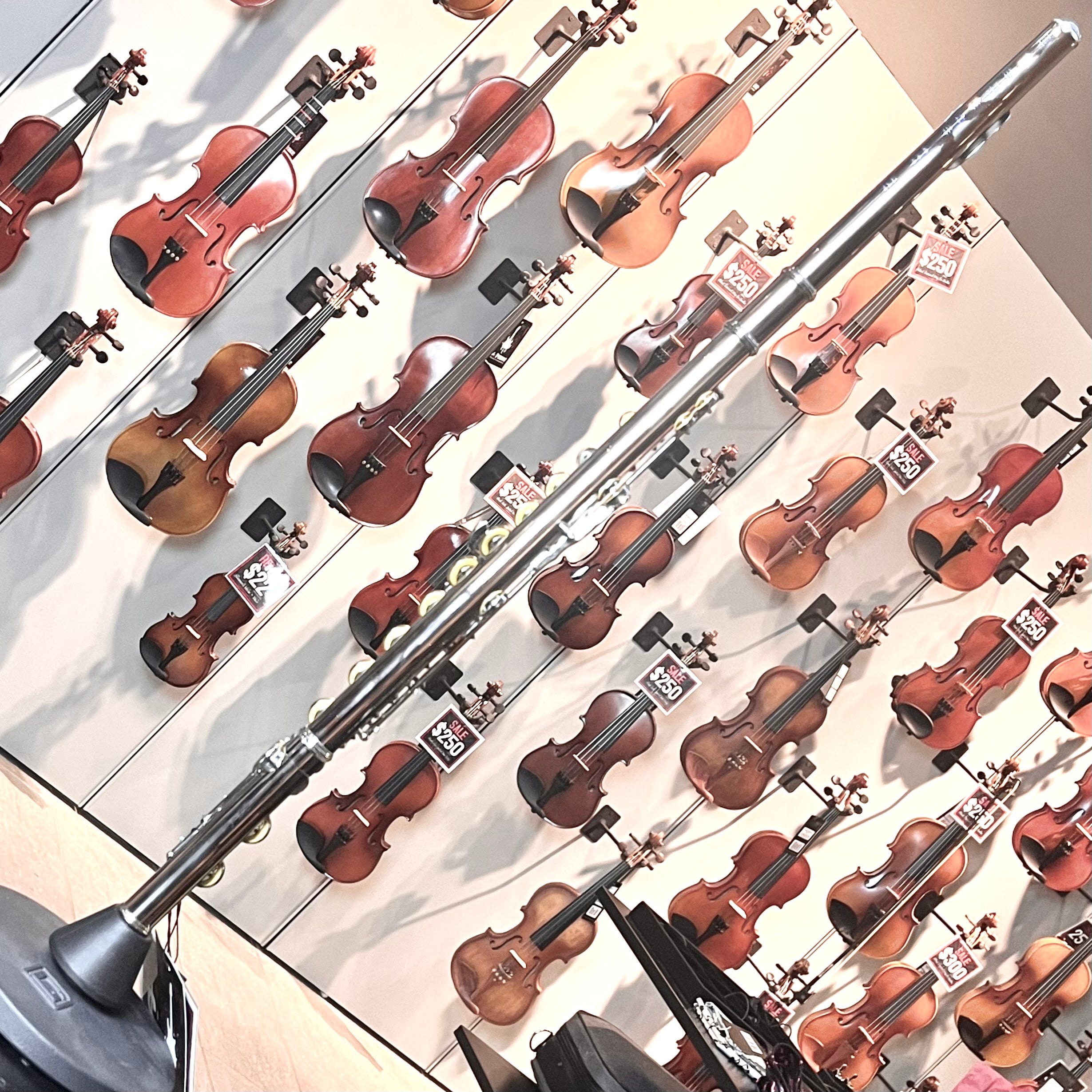 Hod Beginner: Student Flute, Ecomonical