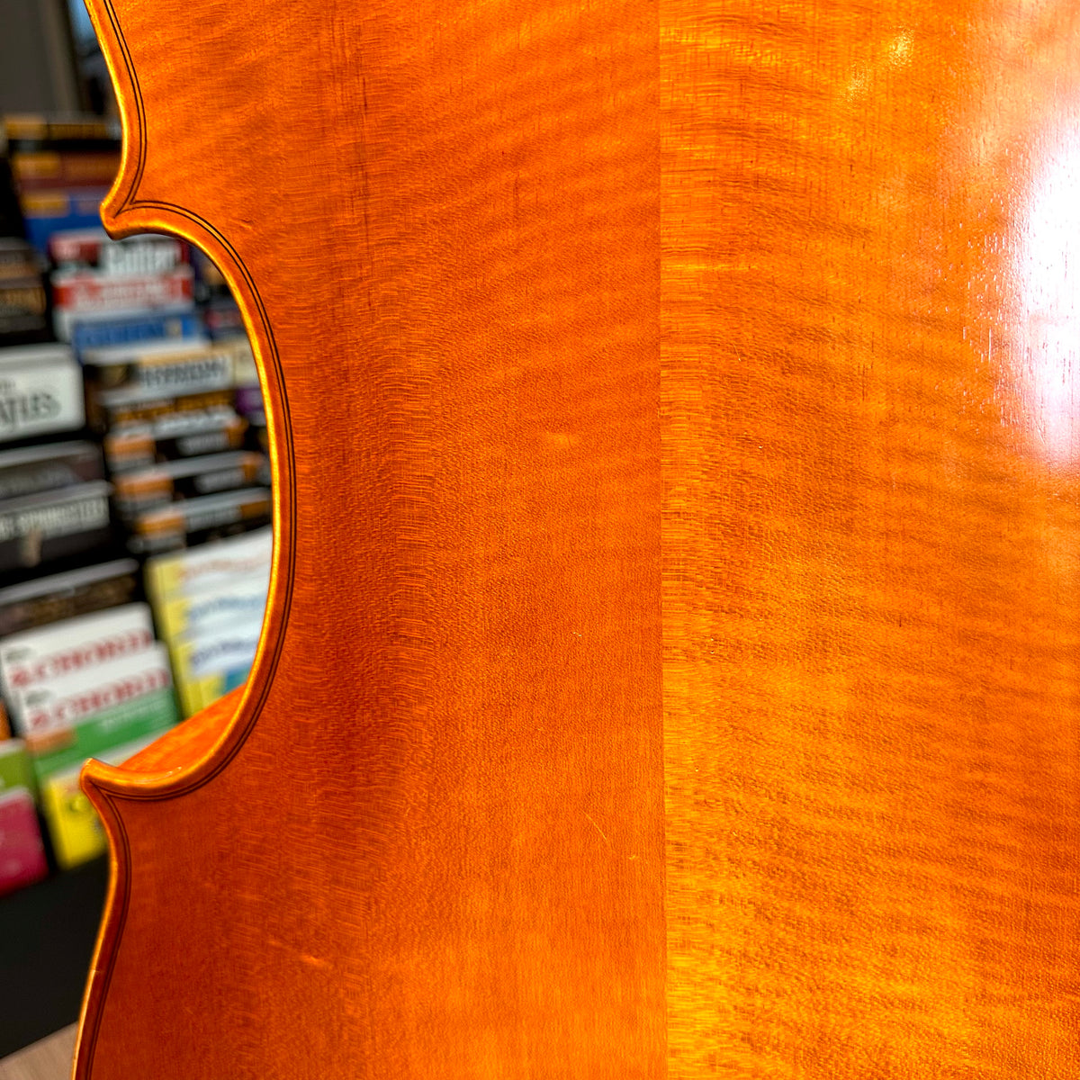 Segue: Concertino Plus, 1/2 Cello, anno 2016