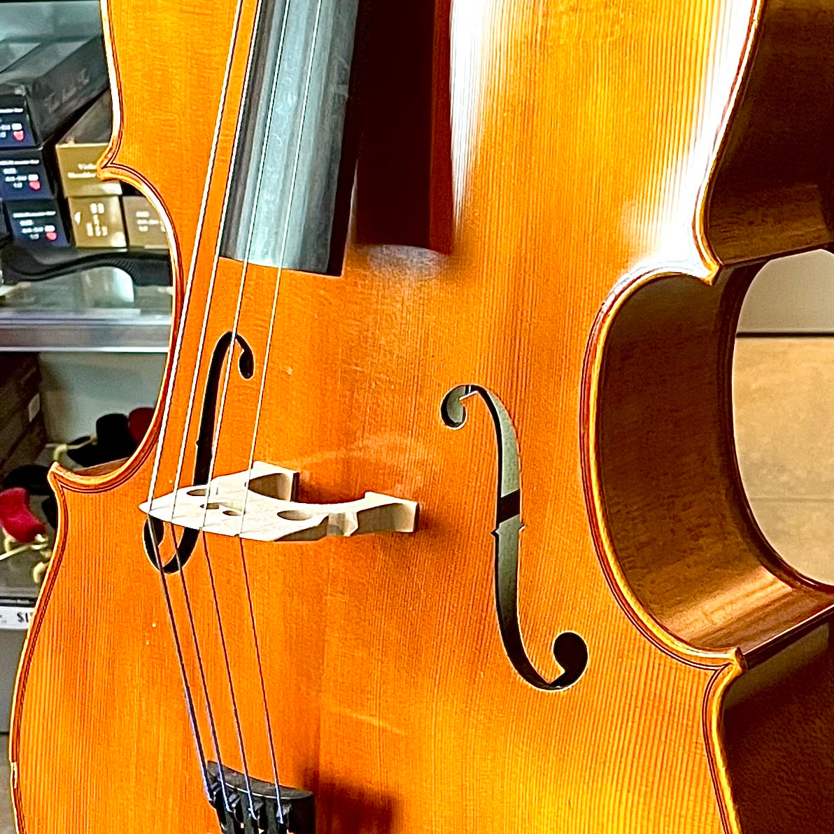 Segue: Concertino, 1/2 Cello, anno 2012