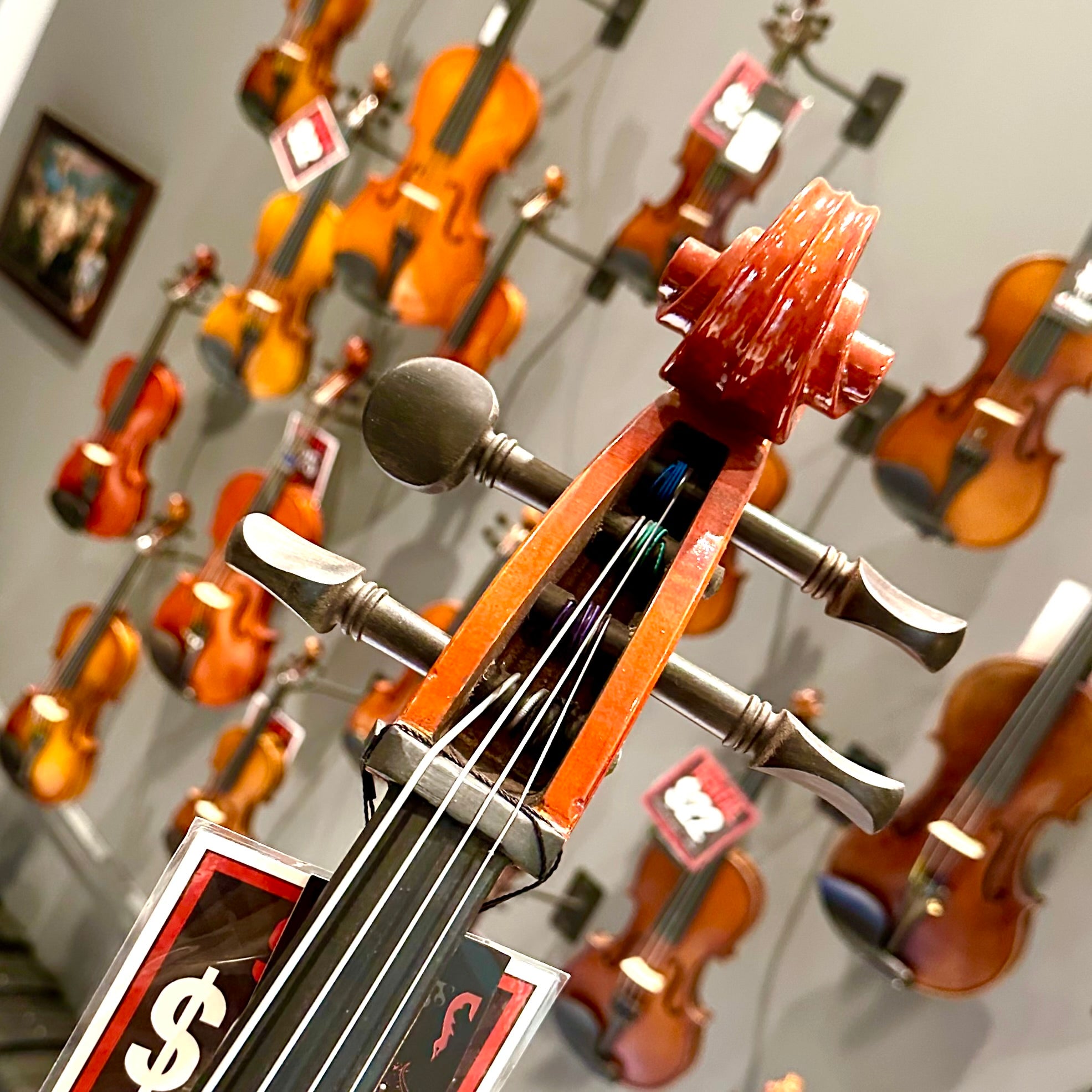 Opal VC106: Intermediate Cello, Hand Carved - 4/4