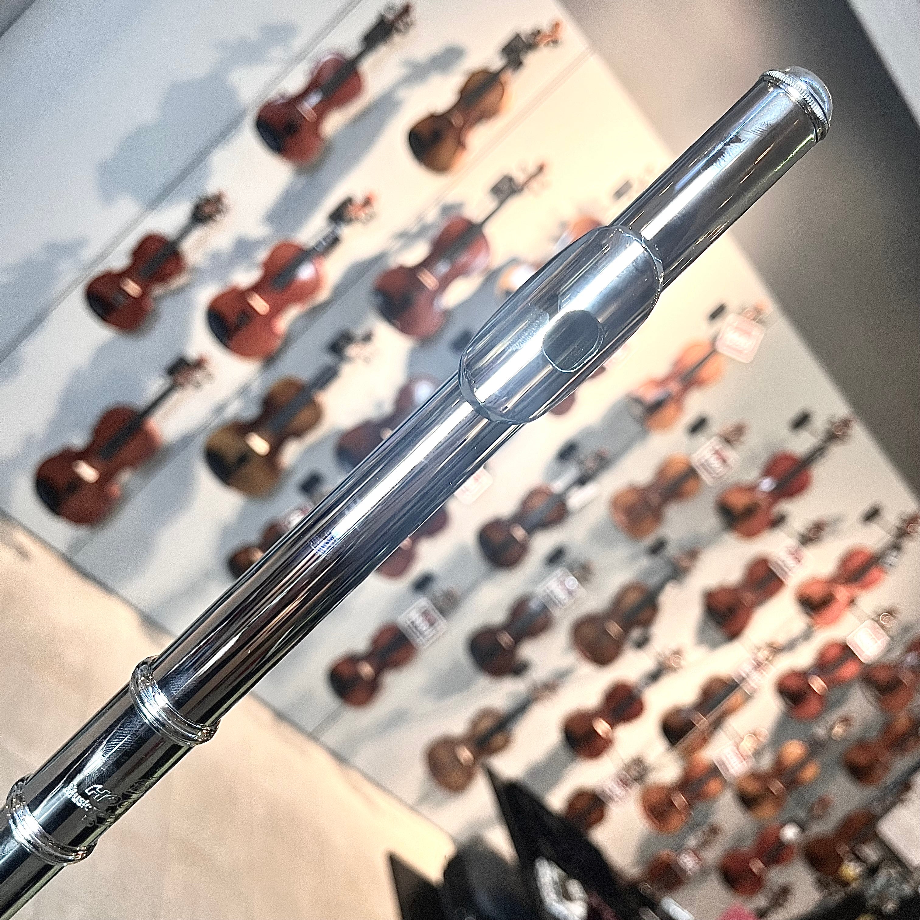 Hod Beginner: Student Flute, Ecomonical