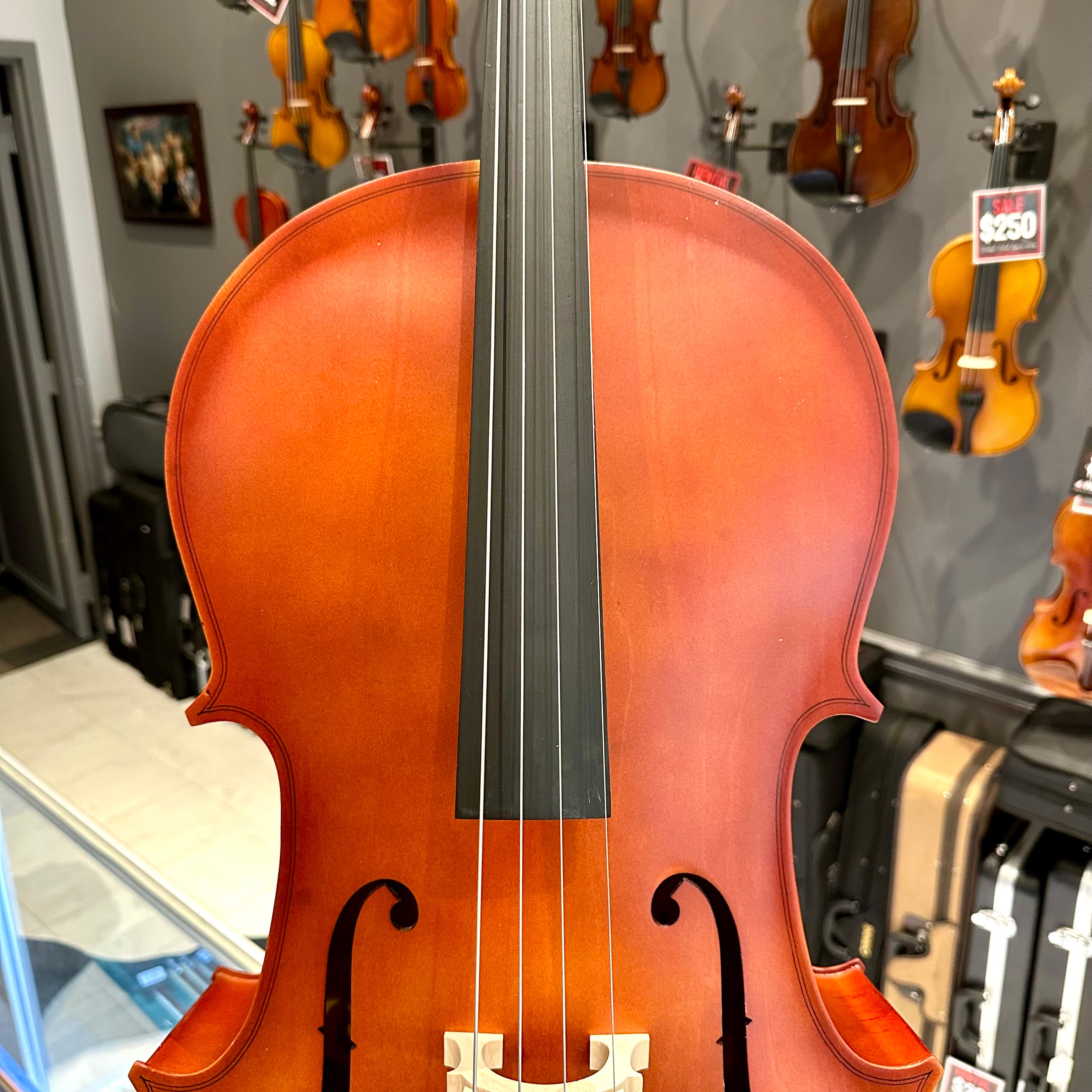 BACK TO SCHOOL SPECIAL: Strumenti a Corde 106: Student Cello, Laminate, Dark Matte - 4/4
