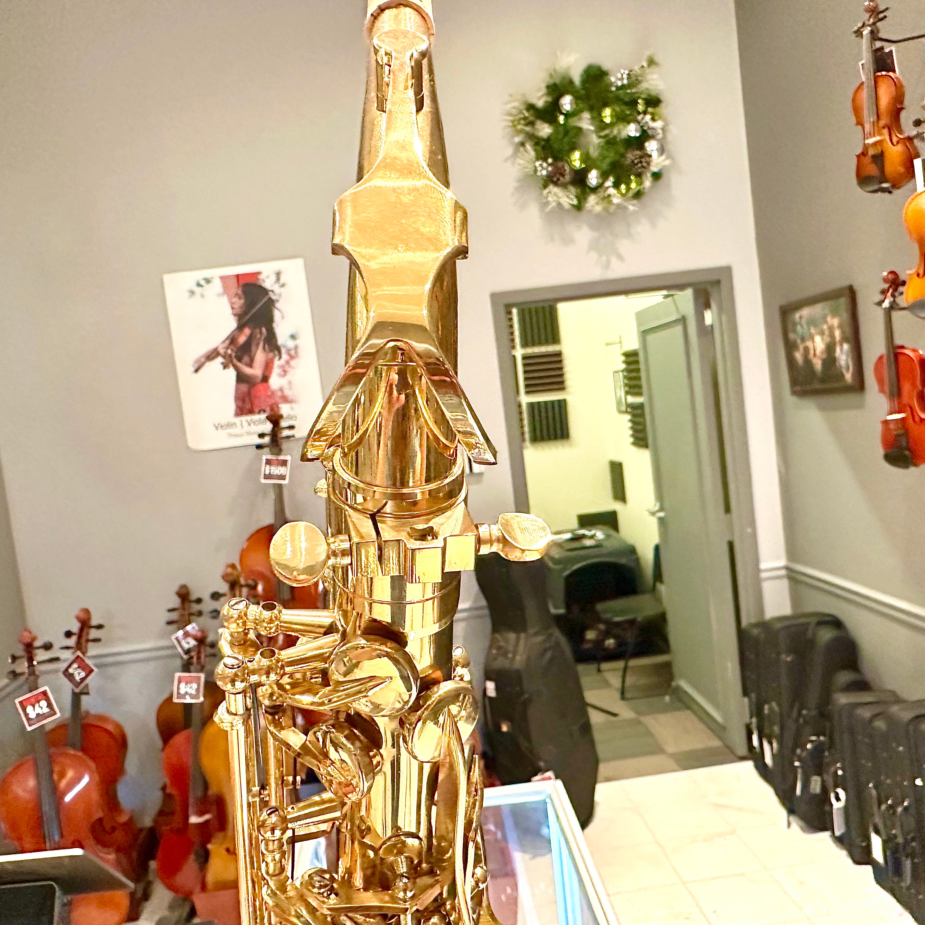 Fugue F84g: Student Alto Saxophone, Gold Lacquered