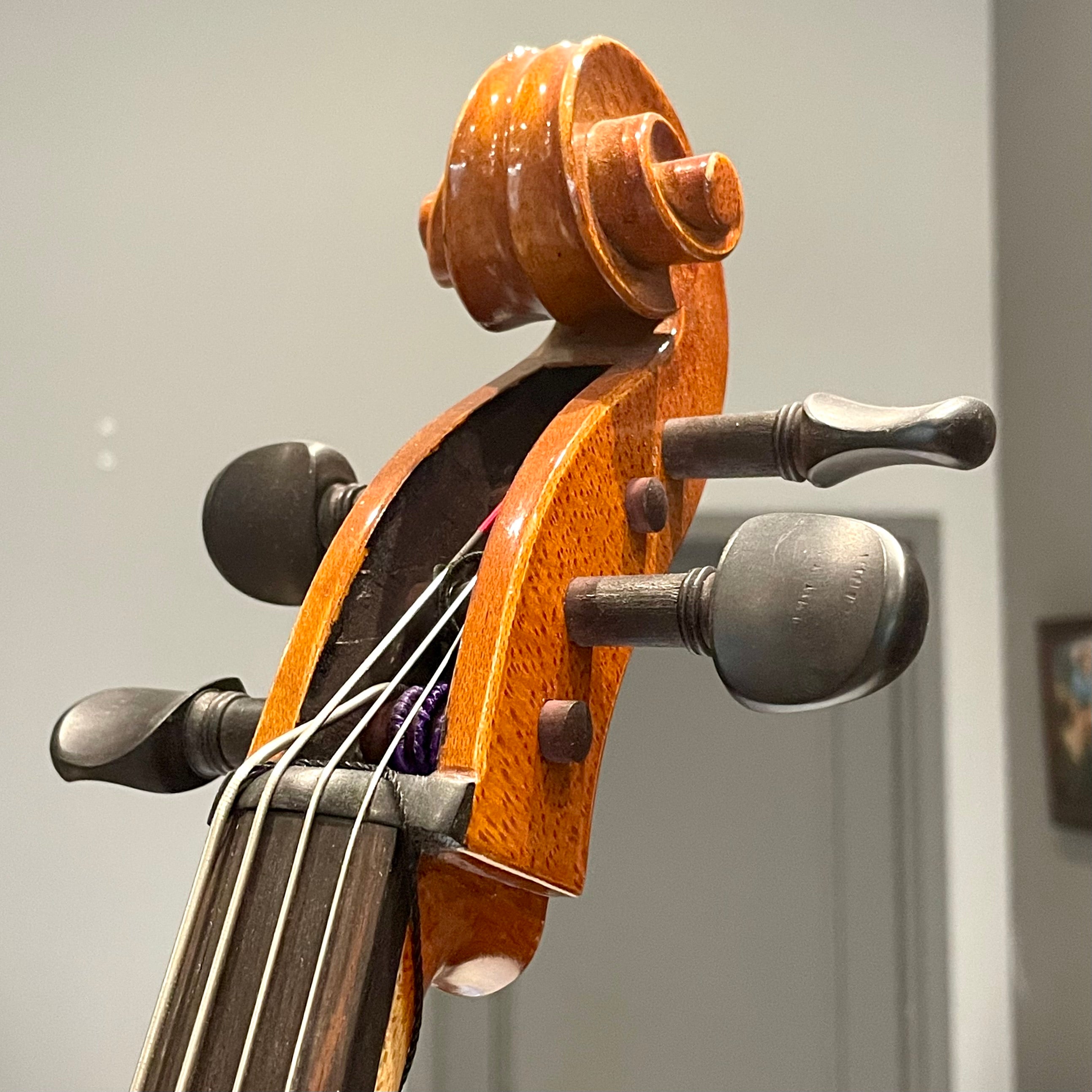 Eastman VC100: Student Cello - 1/4, Used