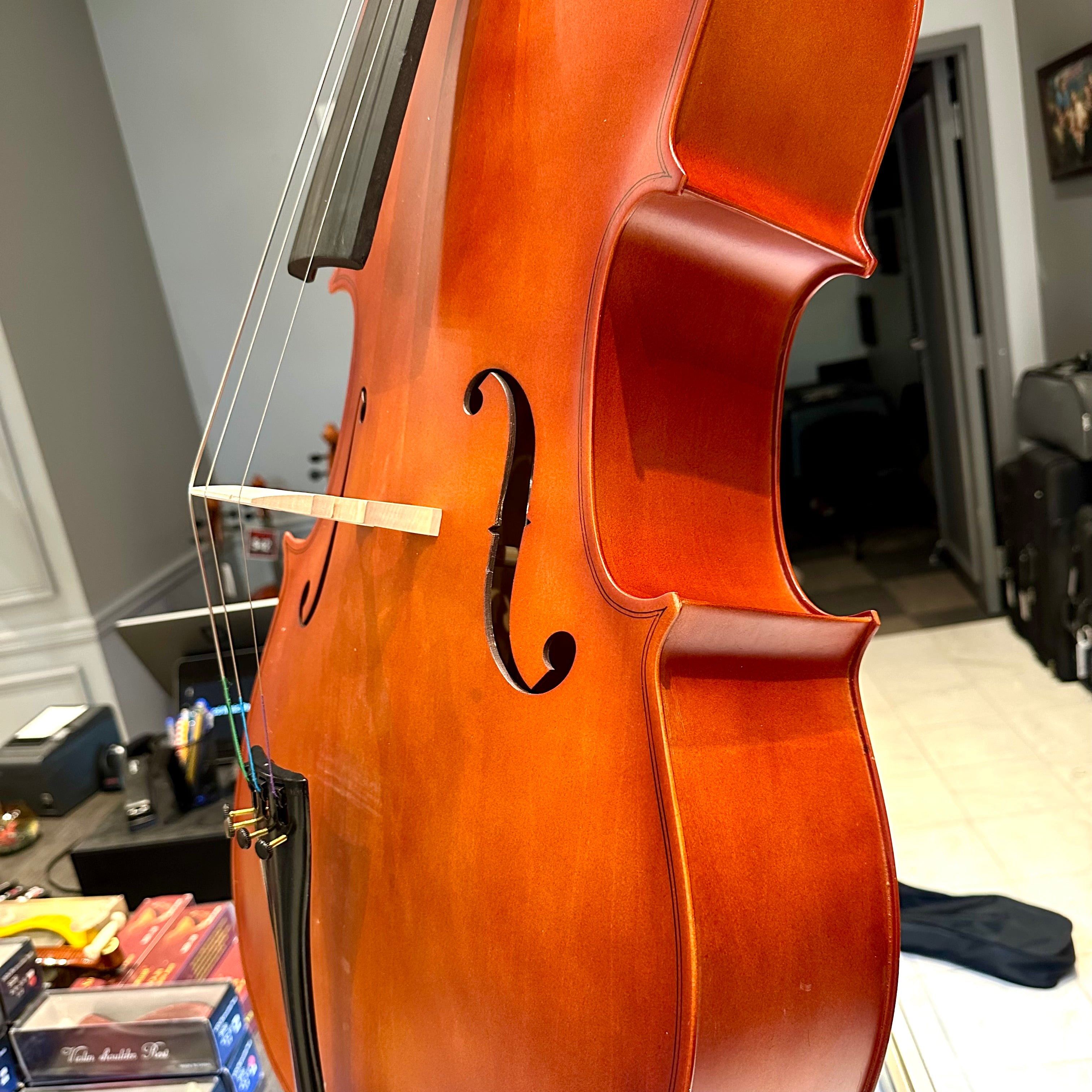 BACK TO SCHOOL SPECIAL: Strumenti a Corde 106: Student Cello, Laminate, Dark Matte - 4/4