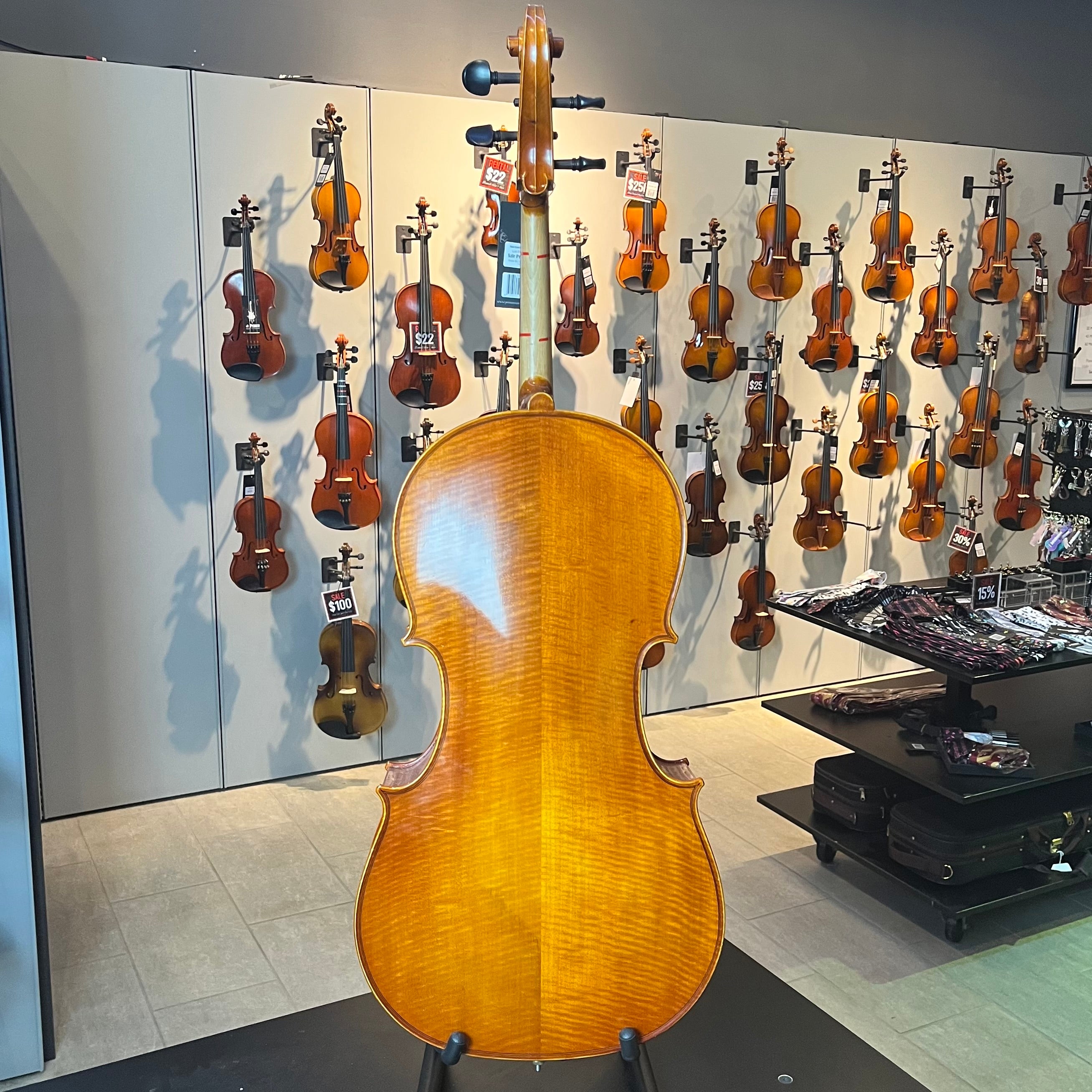 Segue: Concertino Plus, 1/2 Cello, anno 2016