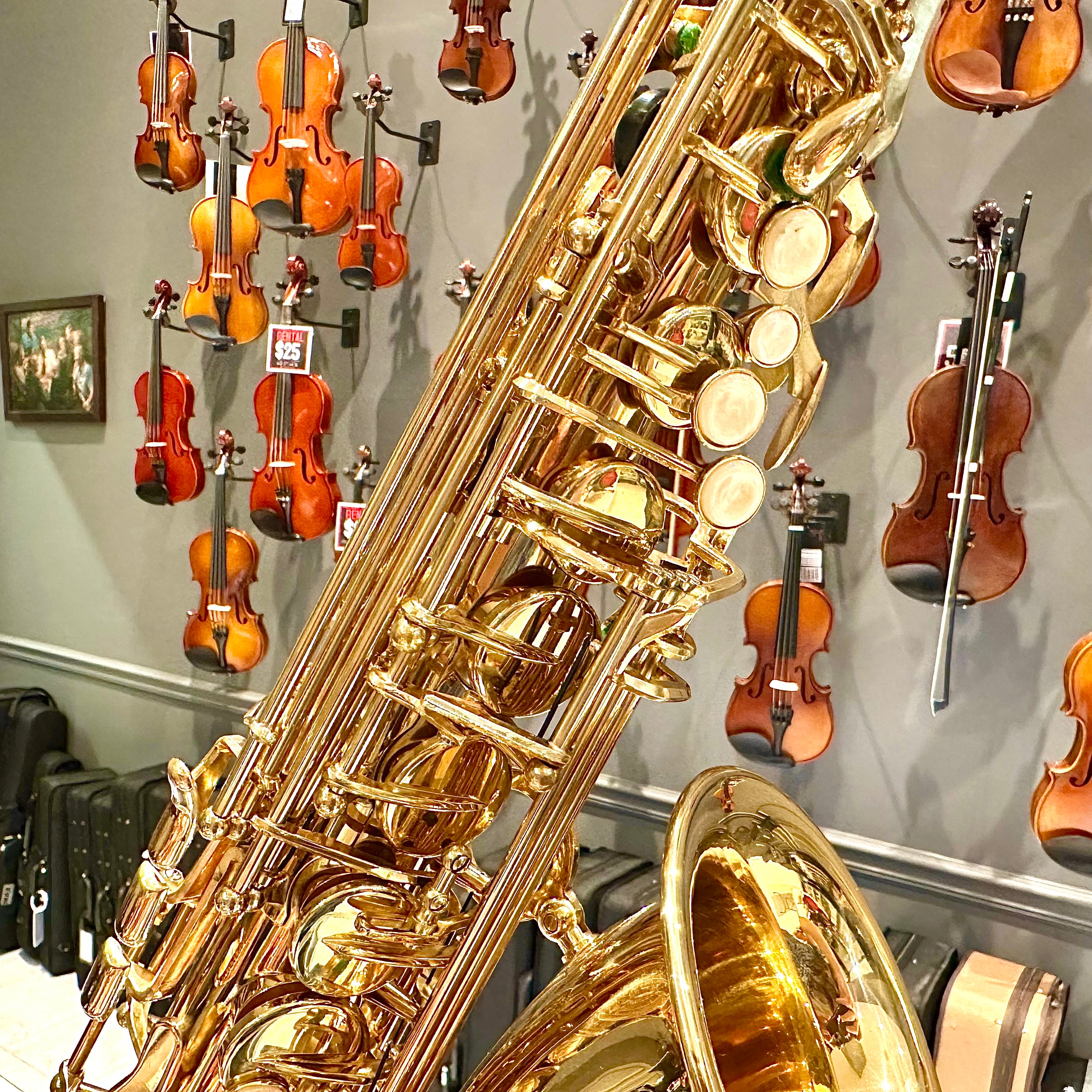 Fugue F84g: Student Alto Saxophone, Gold Lacquered